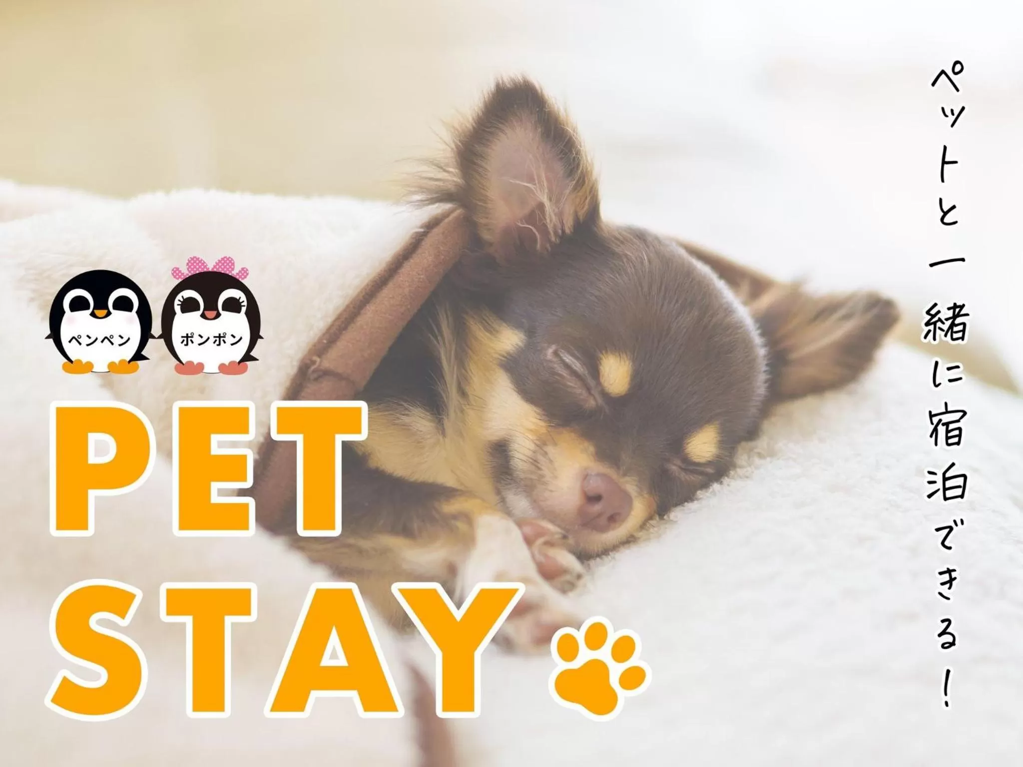 Other in LC Goryokaku Hotel