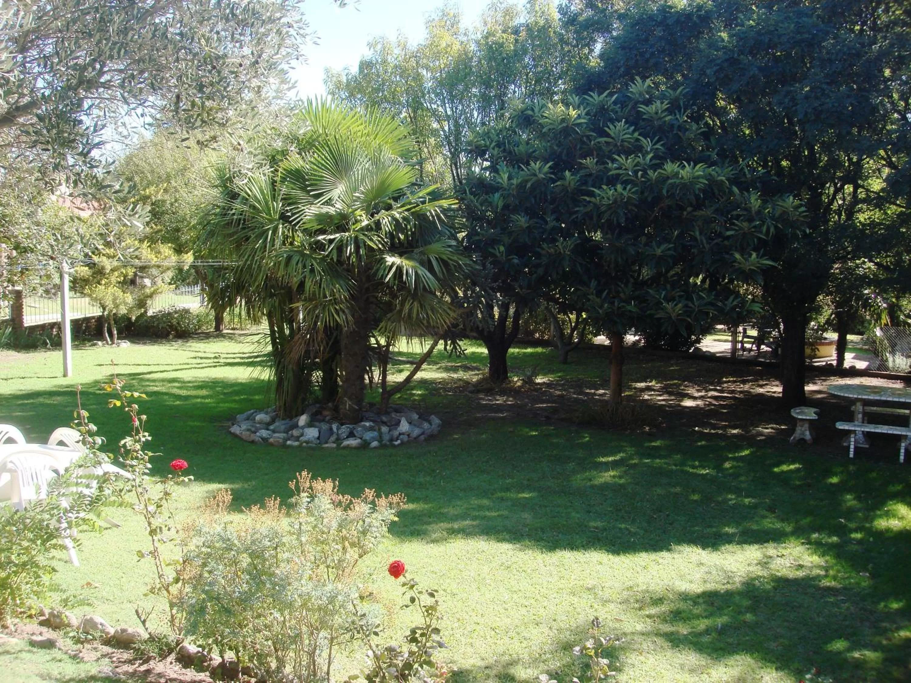 Garden in Hostería Lida