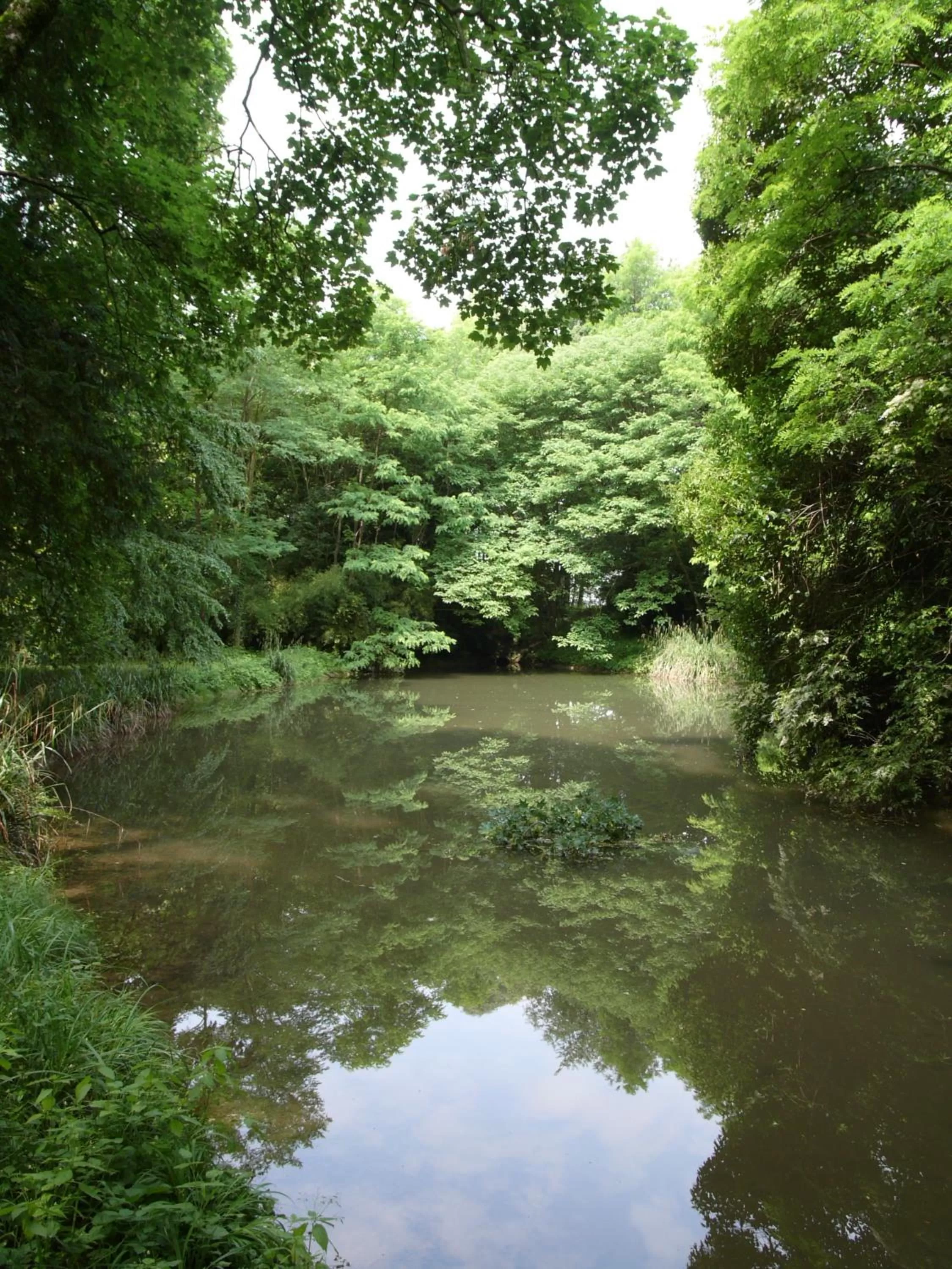 Garden in B&B Giardino Jappelli (Villa Ca' Minotto)