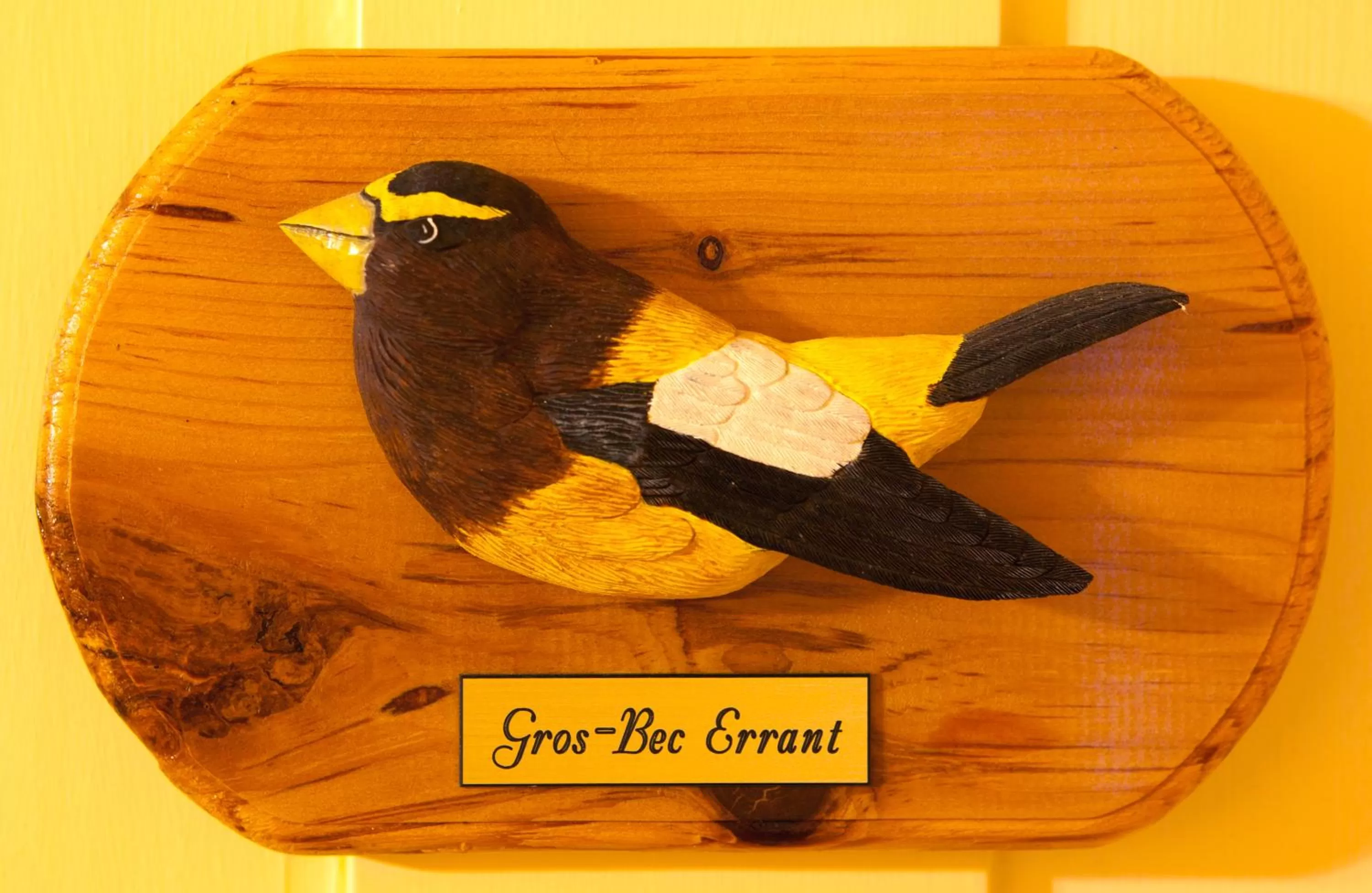 Bedroom in À Amour et Amitié