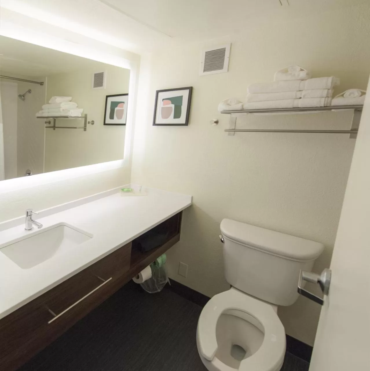 Bathroom in Holiday Inn Morgantown - Reading Area by IHG