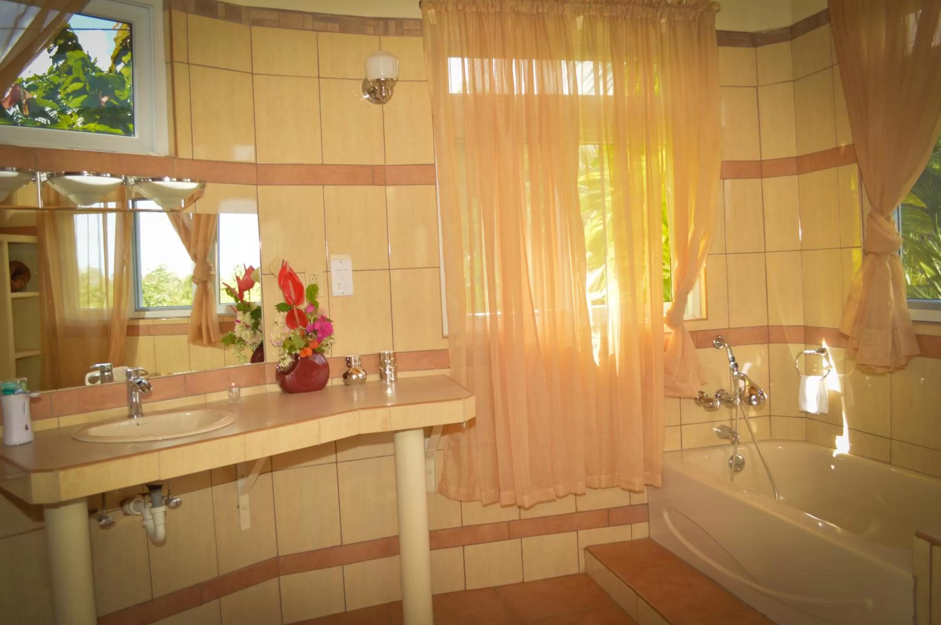 Bathroom in Classique International in Dominica