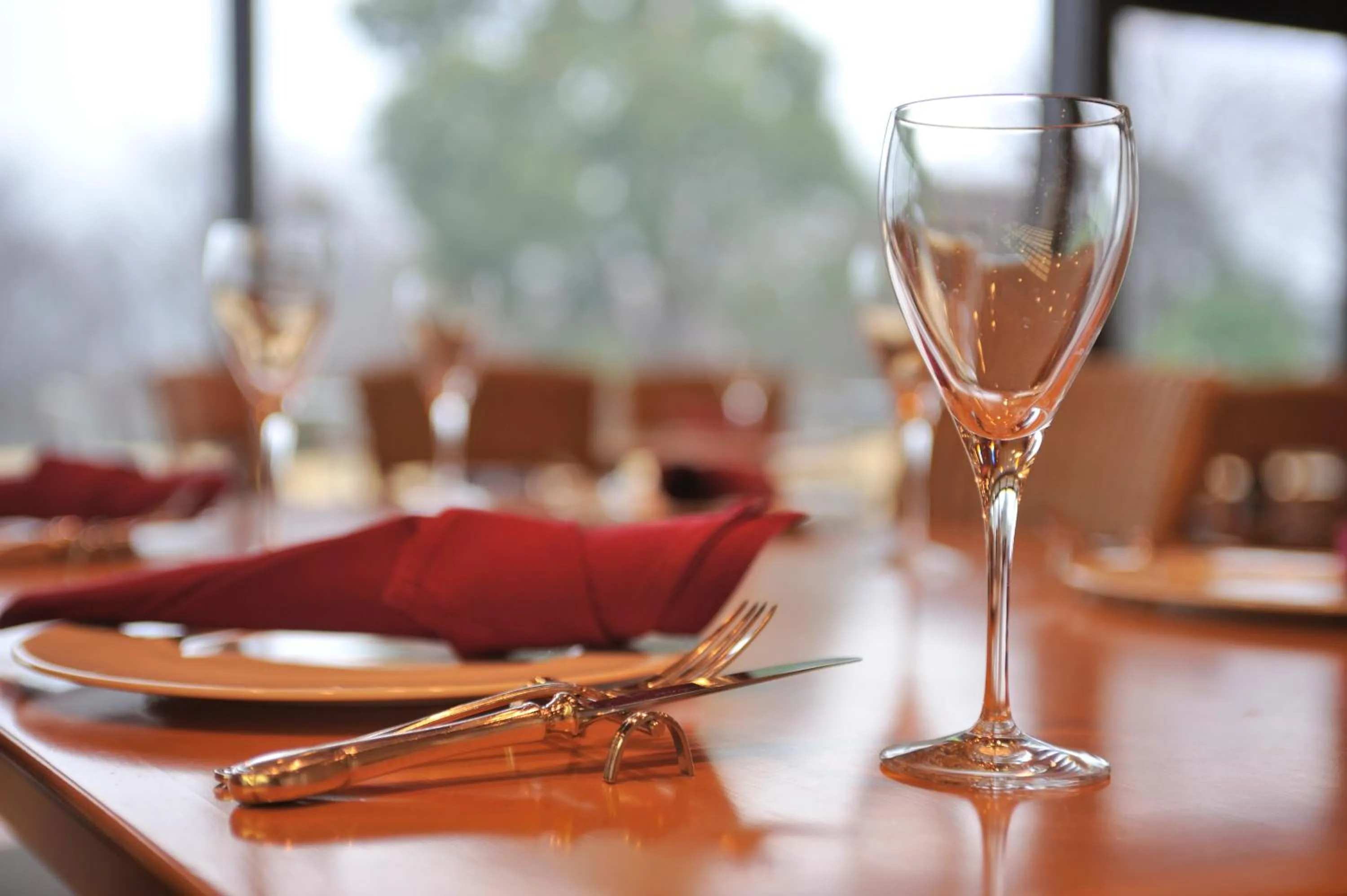 Restaurant/places to eat in Hotel Laforet Shuzenji