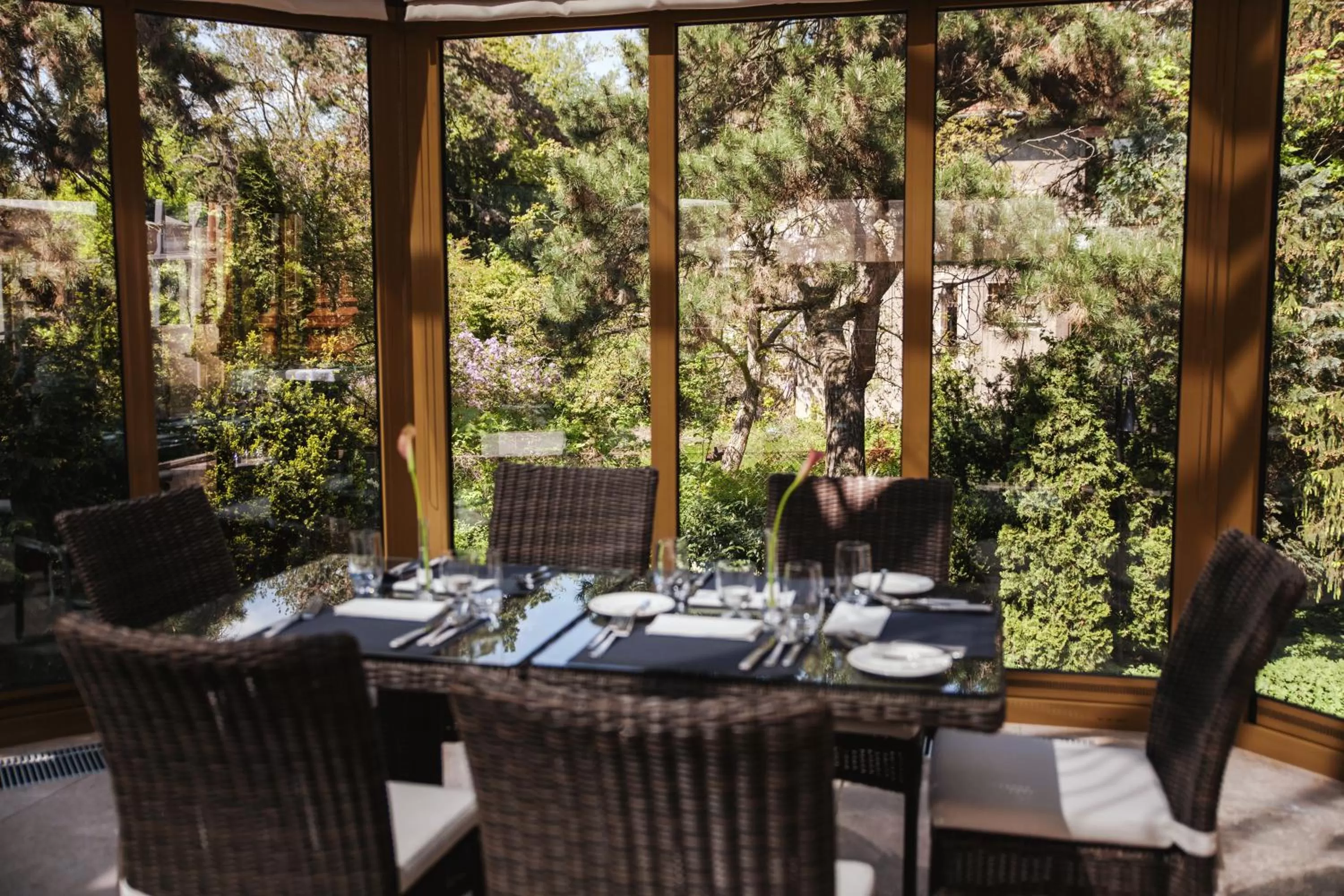 Patio, Restaurant/Places to Eat in Grape Hotel