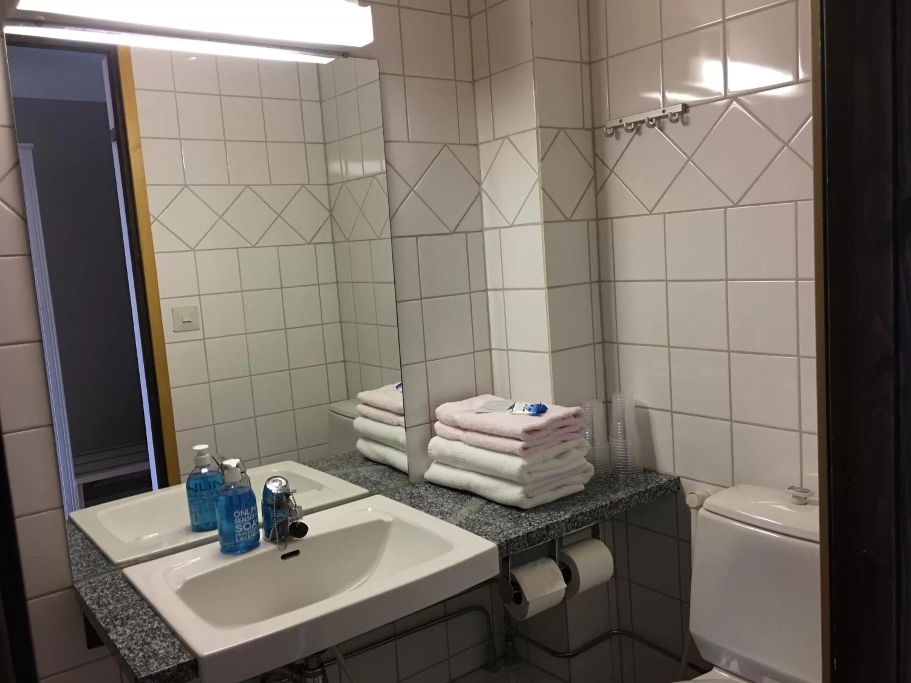 Bathroom in Hotelli Pellonhovi