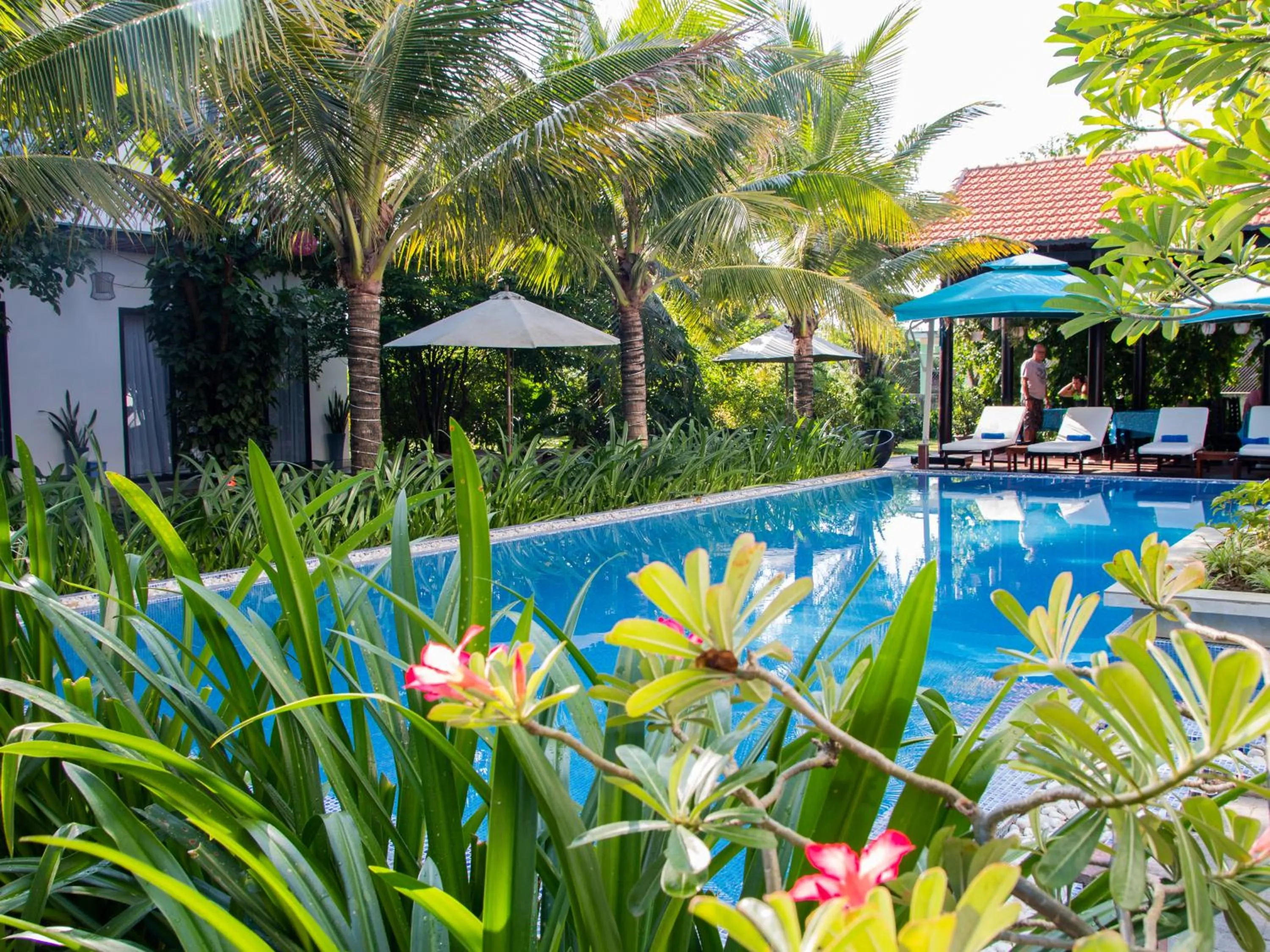 Swimming pool in Hoi An Reverie Villas