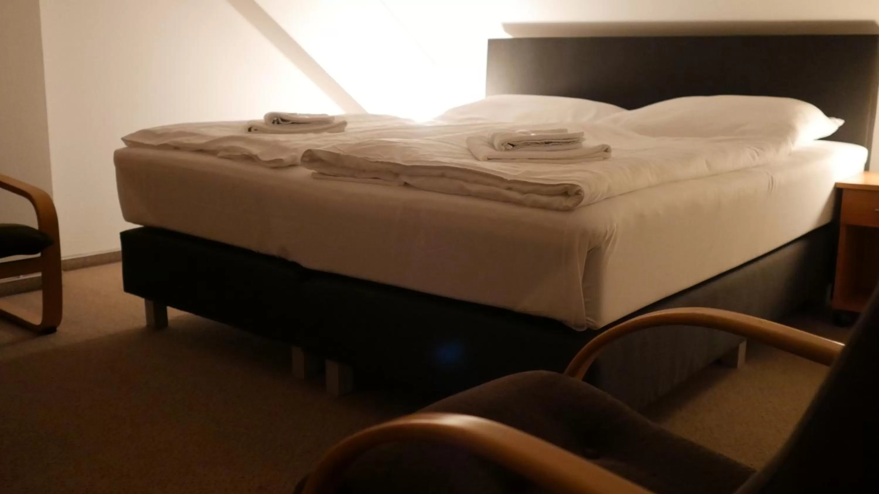 Bed in Hotel Bílý Koníček