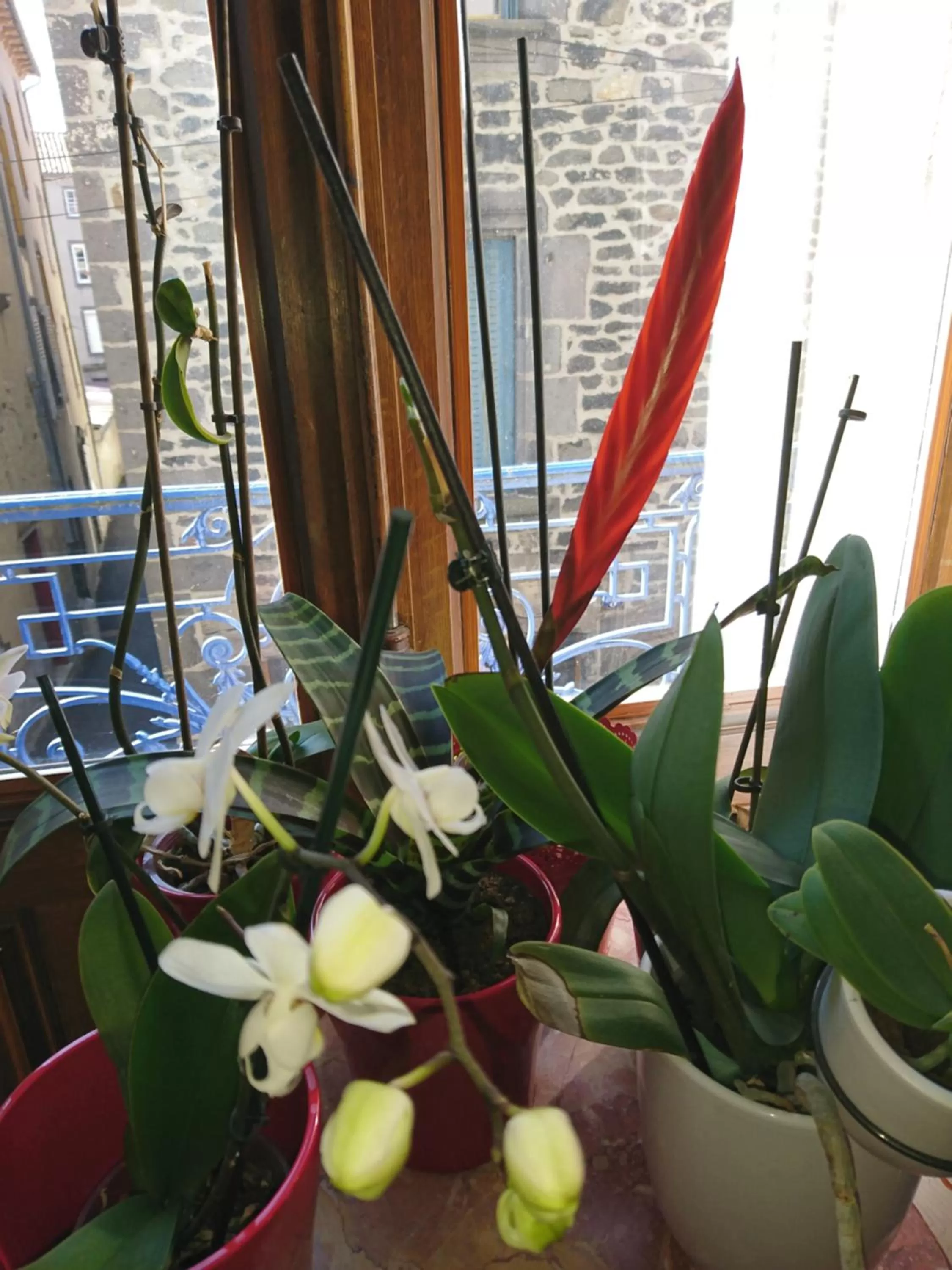 La Maison d'Adelaïde