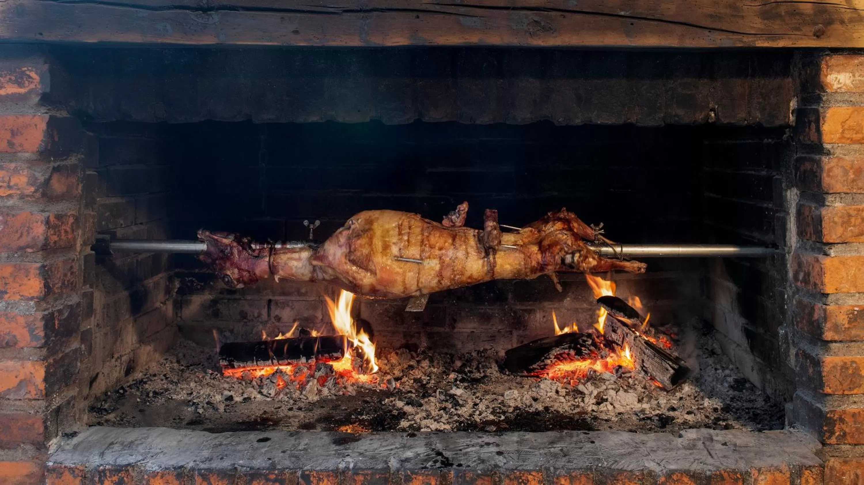 Other Animals in B&B Garestin