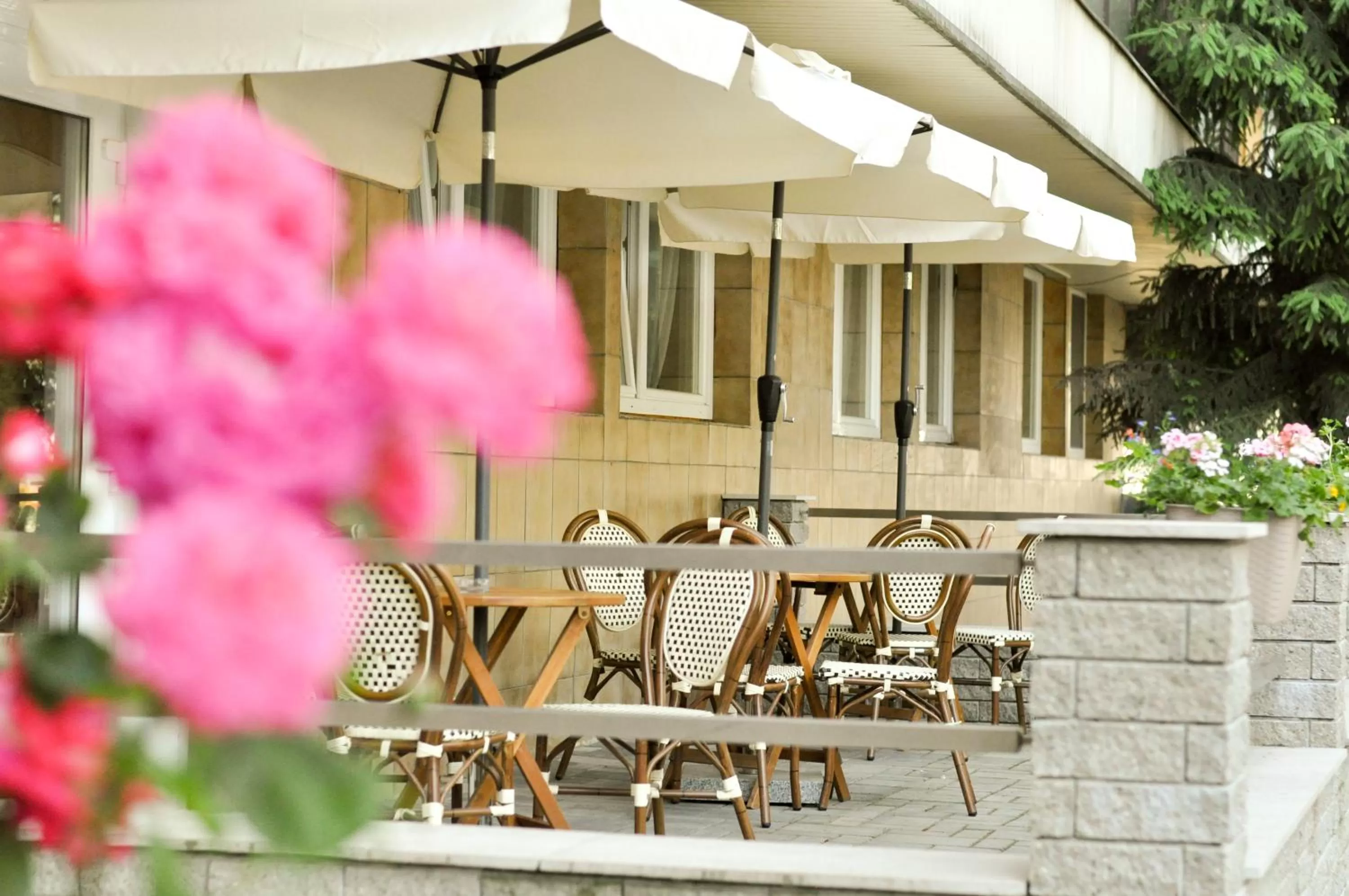 Balcony/Terrace in Hotel Garni