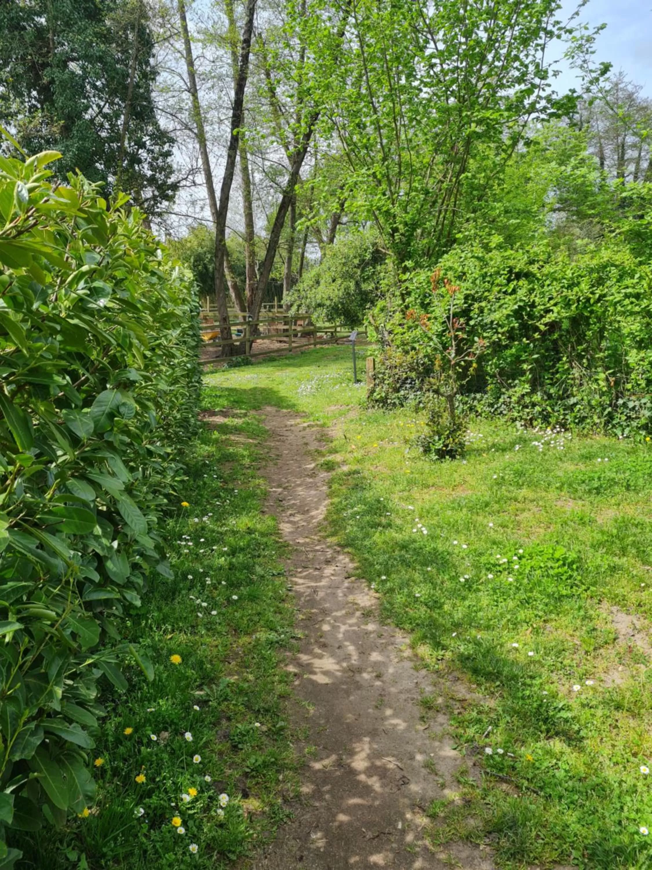 Garden in Roulotte d'Aquitaine