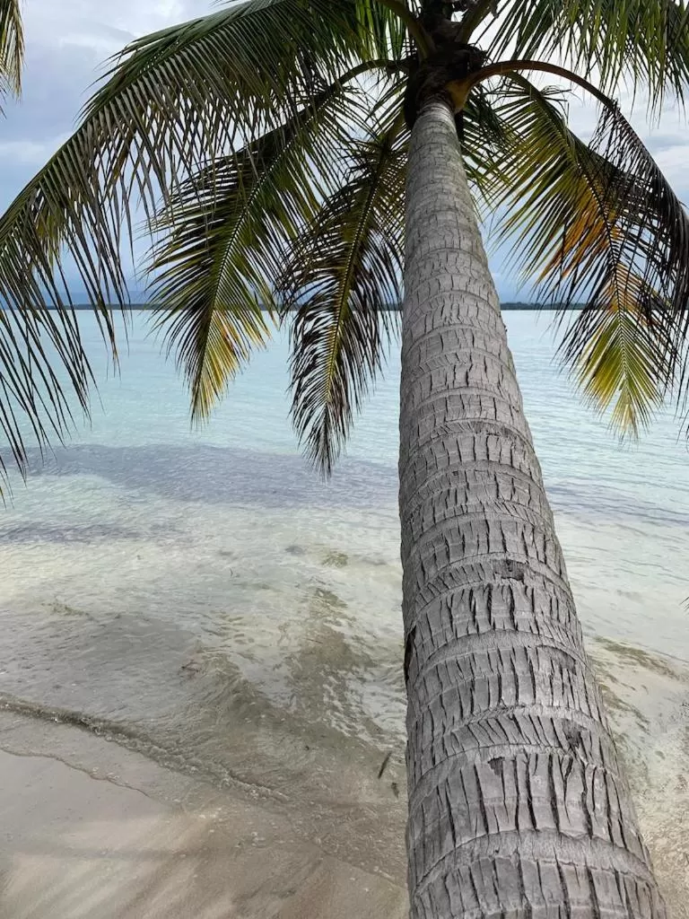 Off site in Sand Dollar Beach Bed & Breakfast