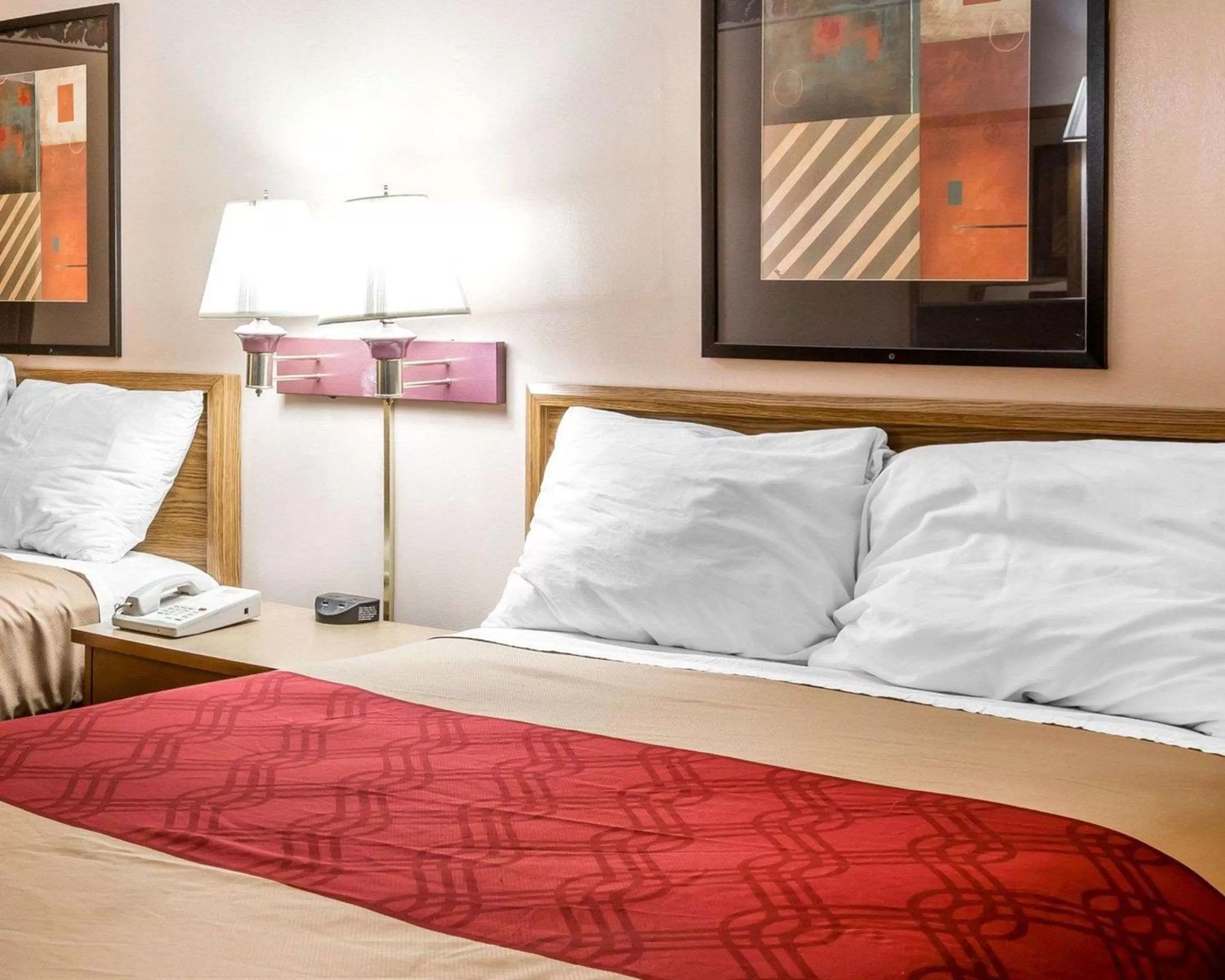 Photo of the whole room, Bed in Econo Lodge McDonough South