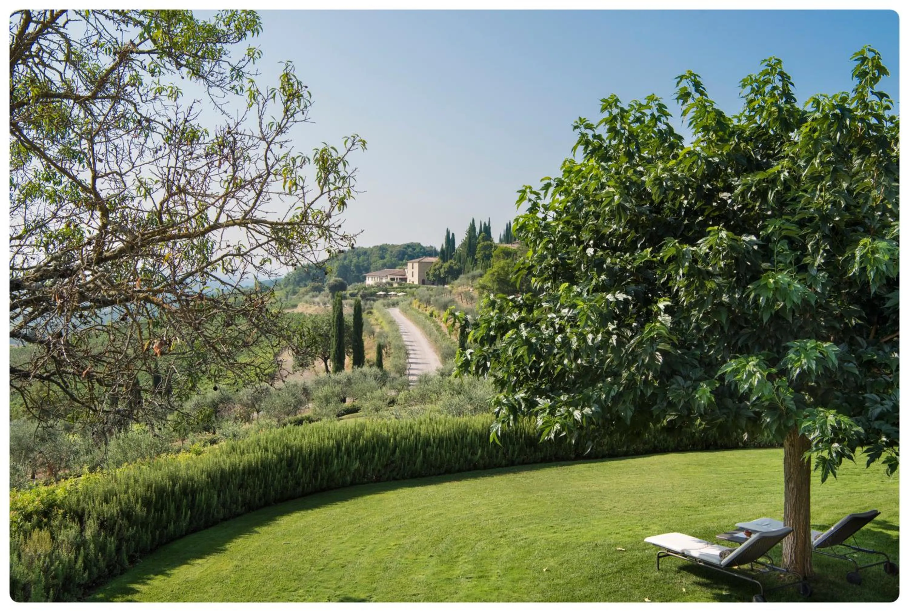 Garden in Hotel Le Fontanelle