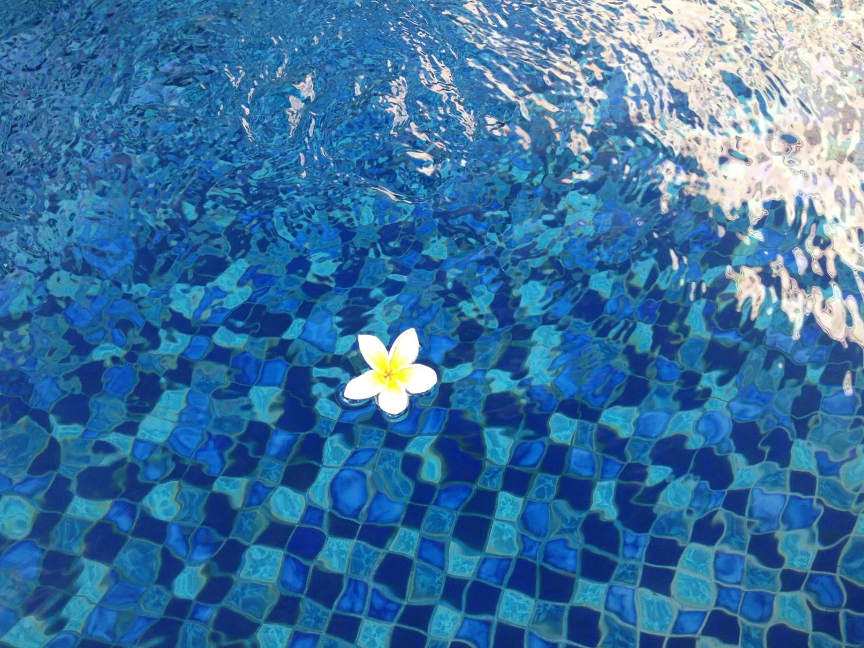 View (from property/room) in Sari Stay