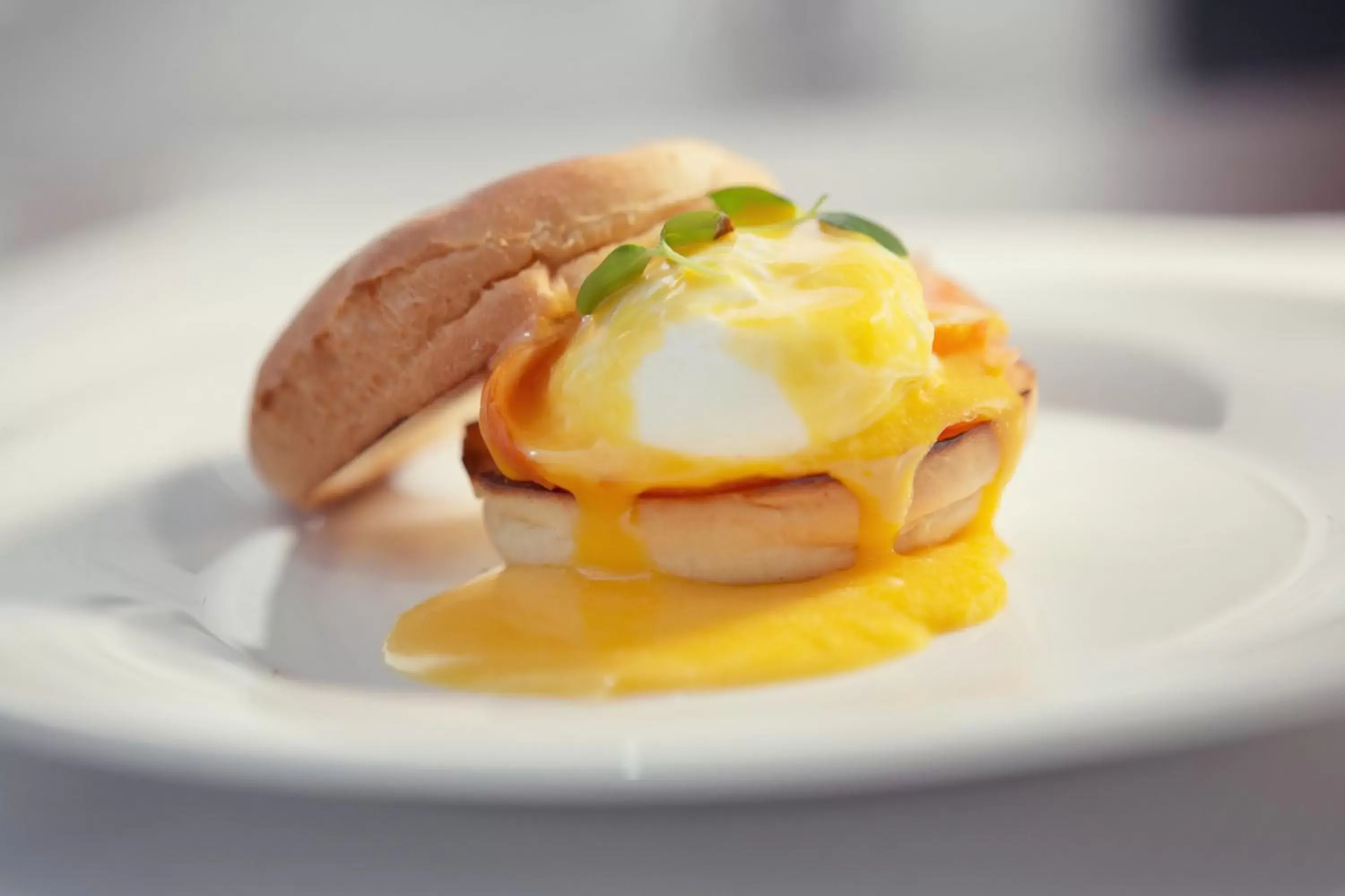 Sheraton Bratislava Hotel Sheraton Bratislava Hotel