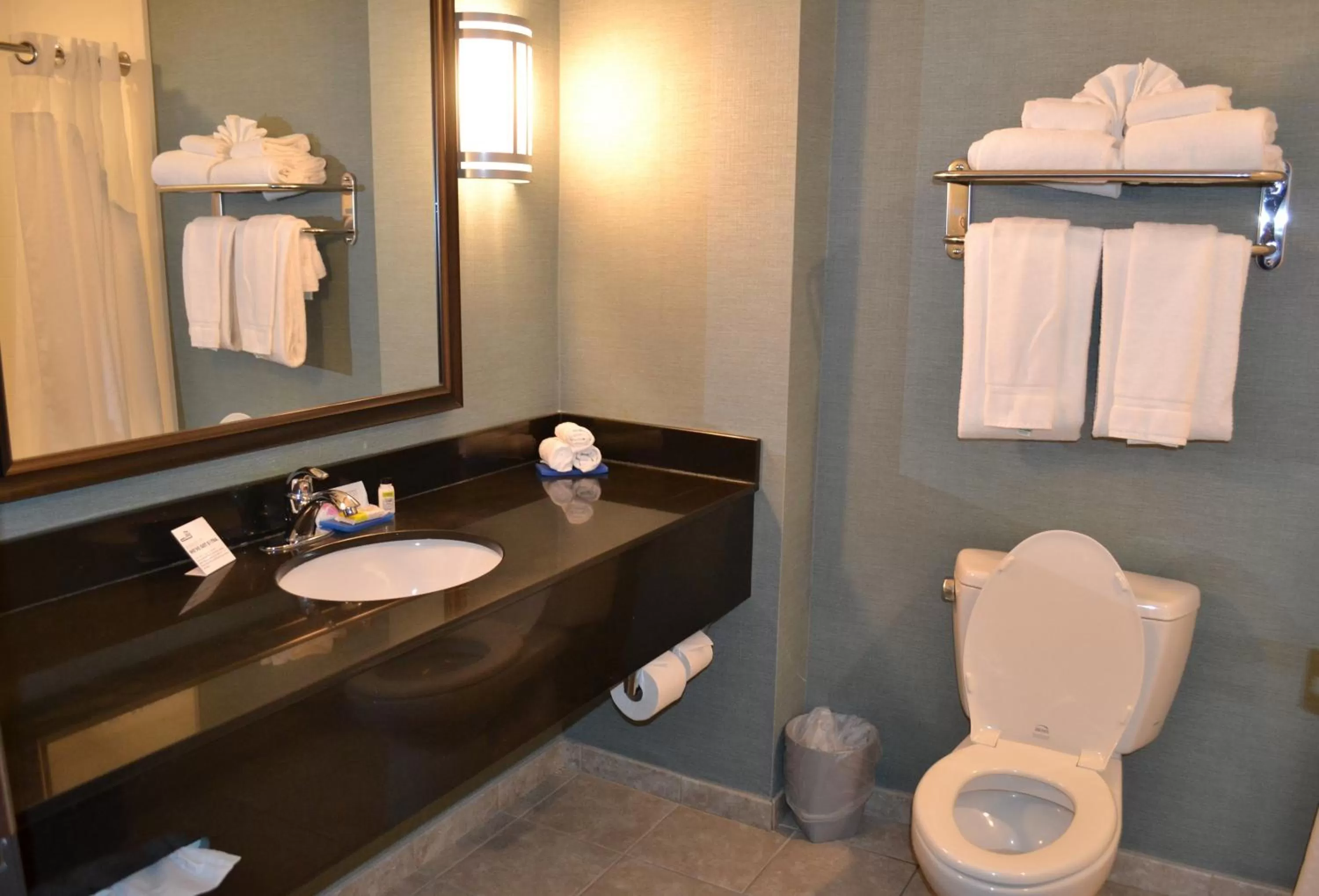 Bathroom in Holiday Inn Express Selinsgrove by IHG