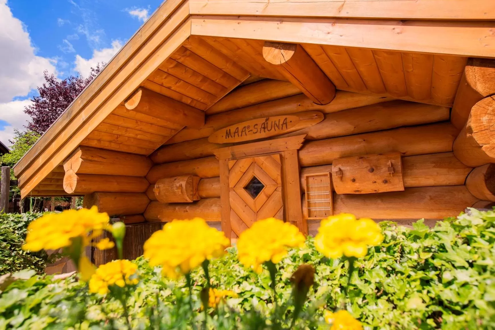 Spa and wellness centre/facilities in Wellnesshotel Seeschlößchen - Privat- Spa & Naturresort