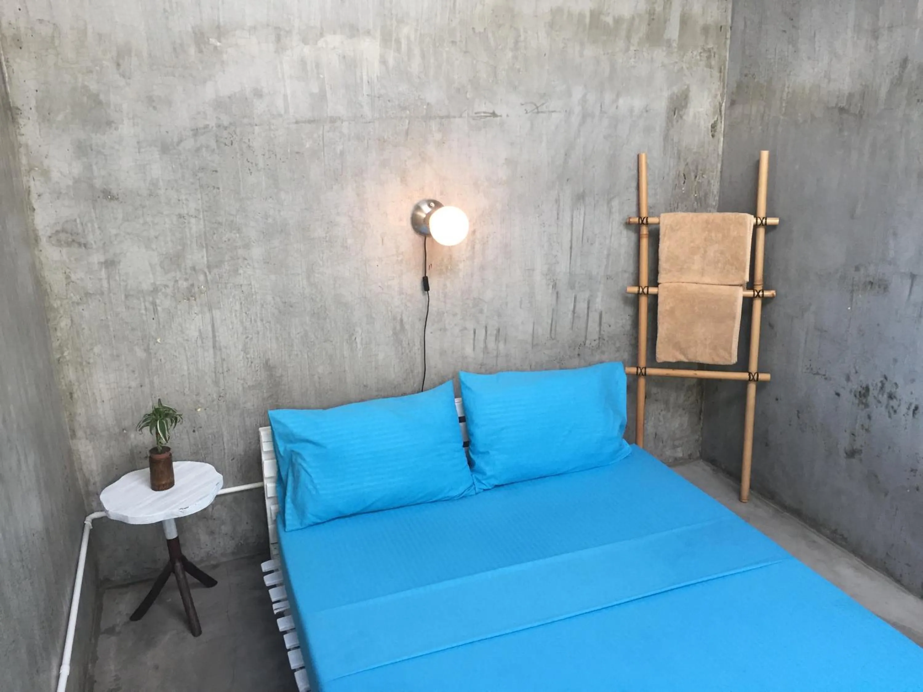 Bed in The Flying Fish Hostel