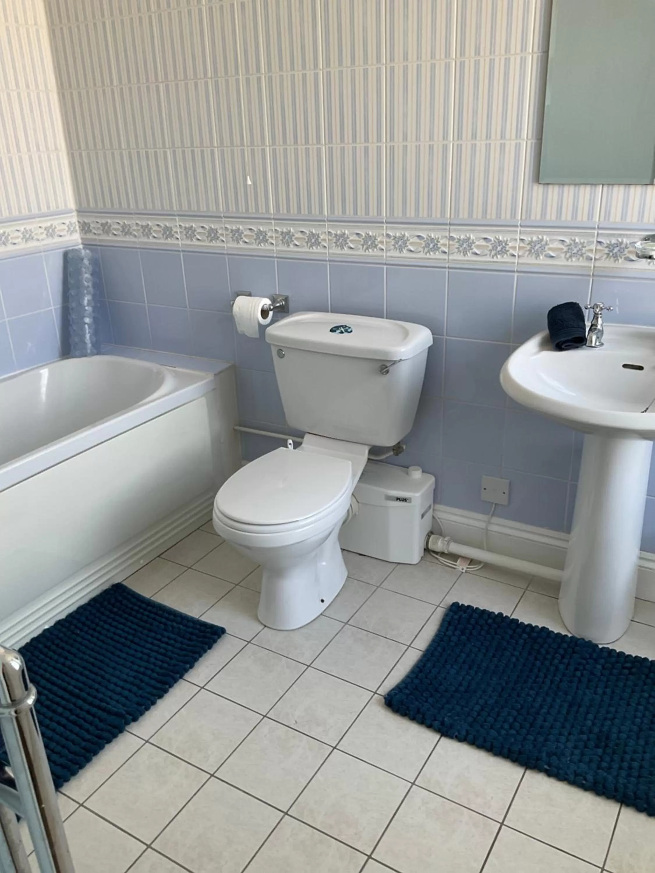 Toilet in No 52 bed and breakfast