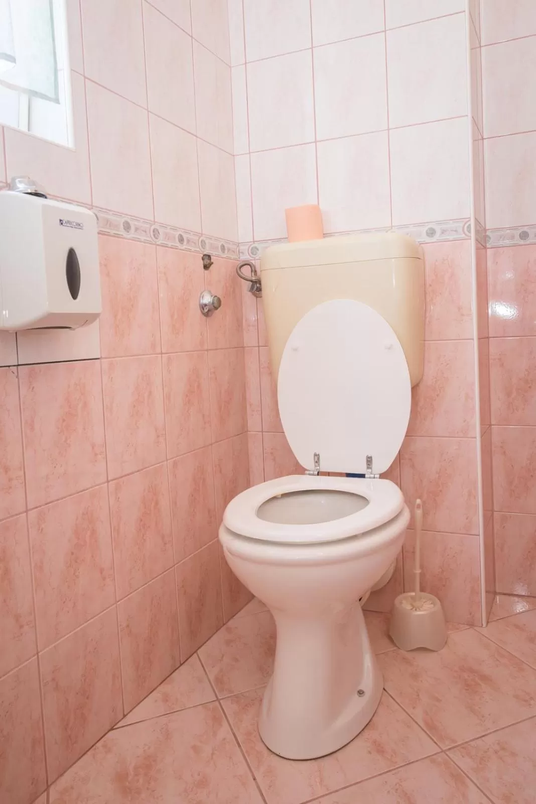 Toilet in Guesthouse Helena