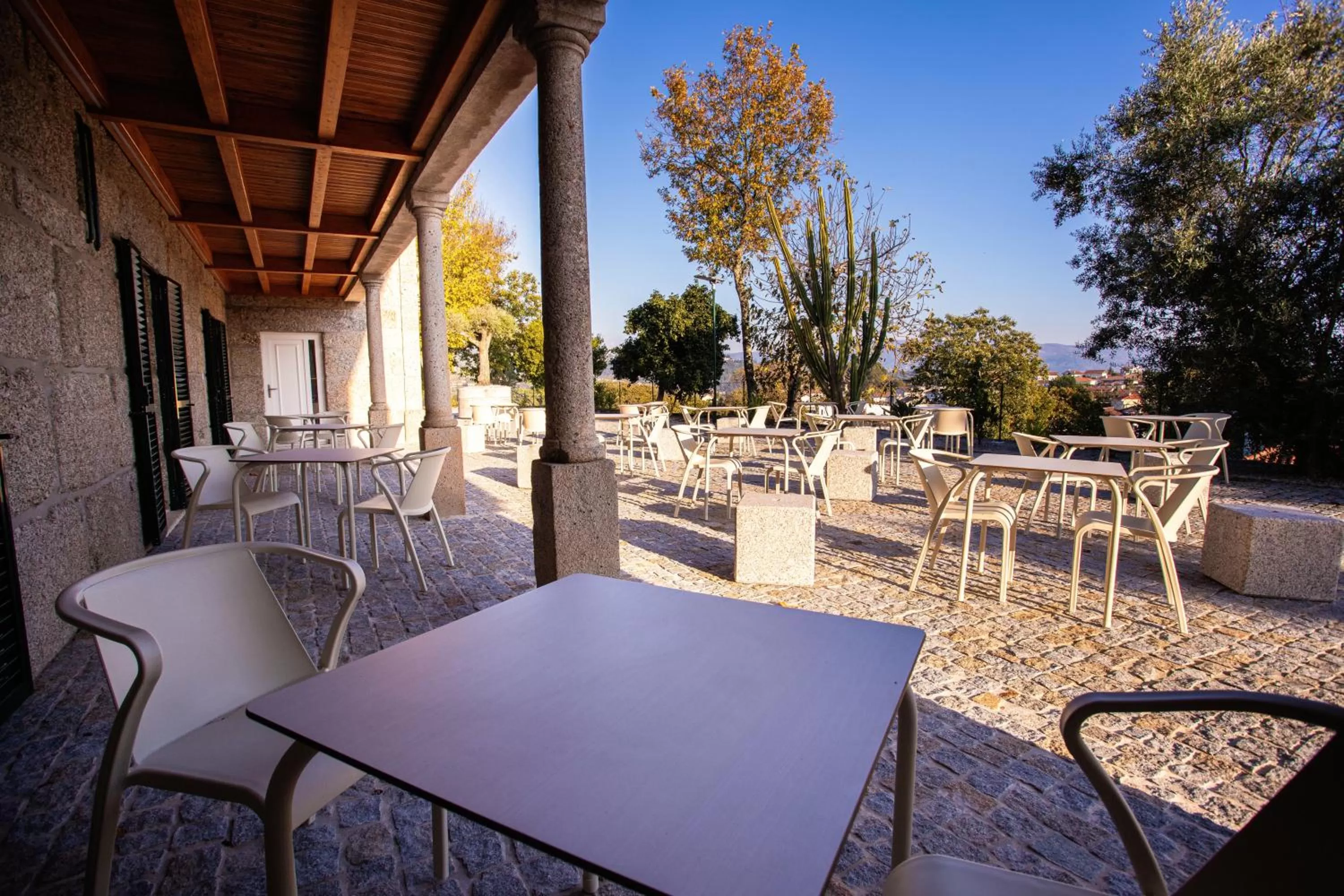 Restaurant/places to eat in Fonte Velha