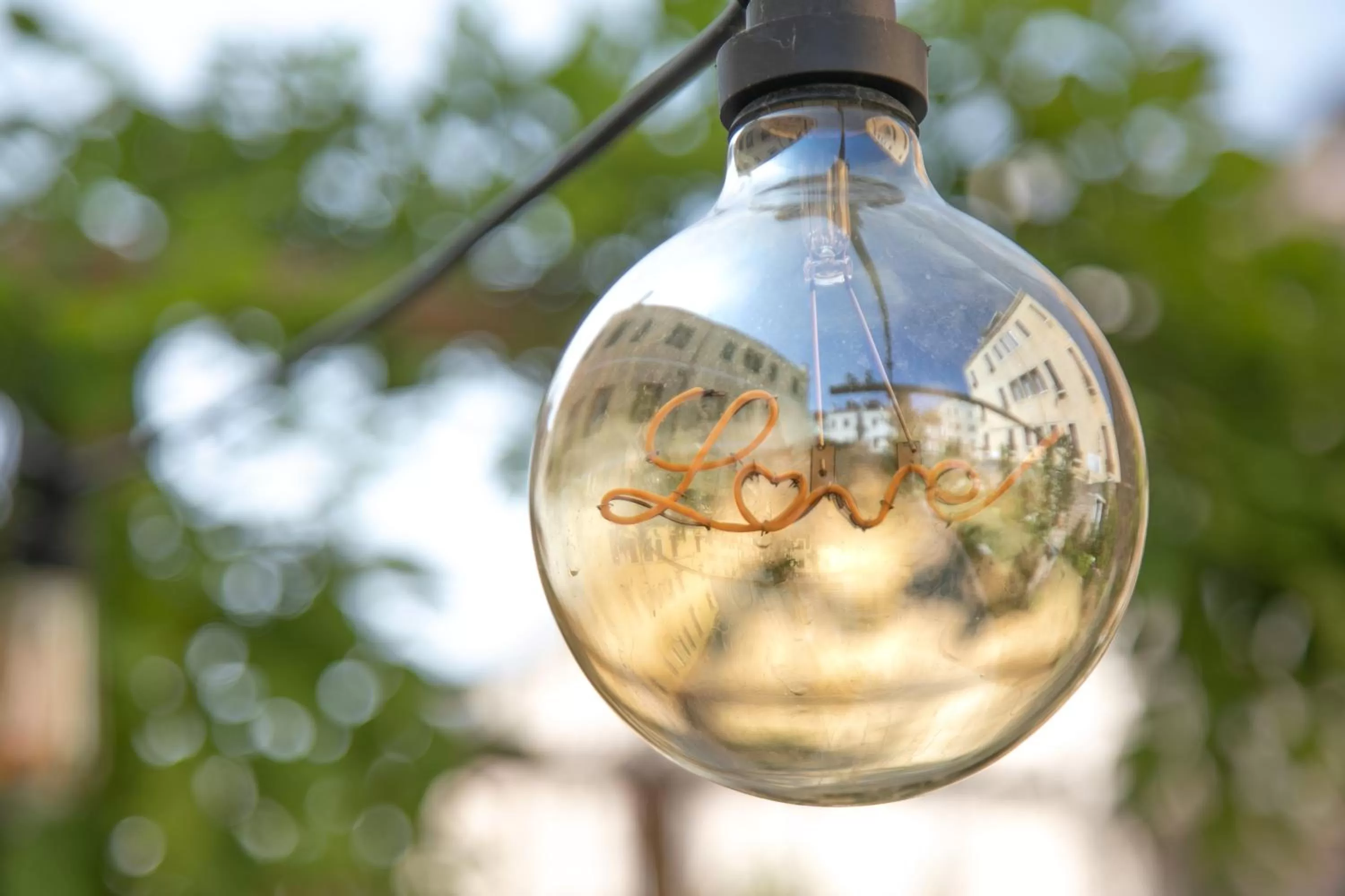 Garden in Madama Garden Retreat