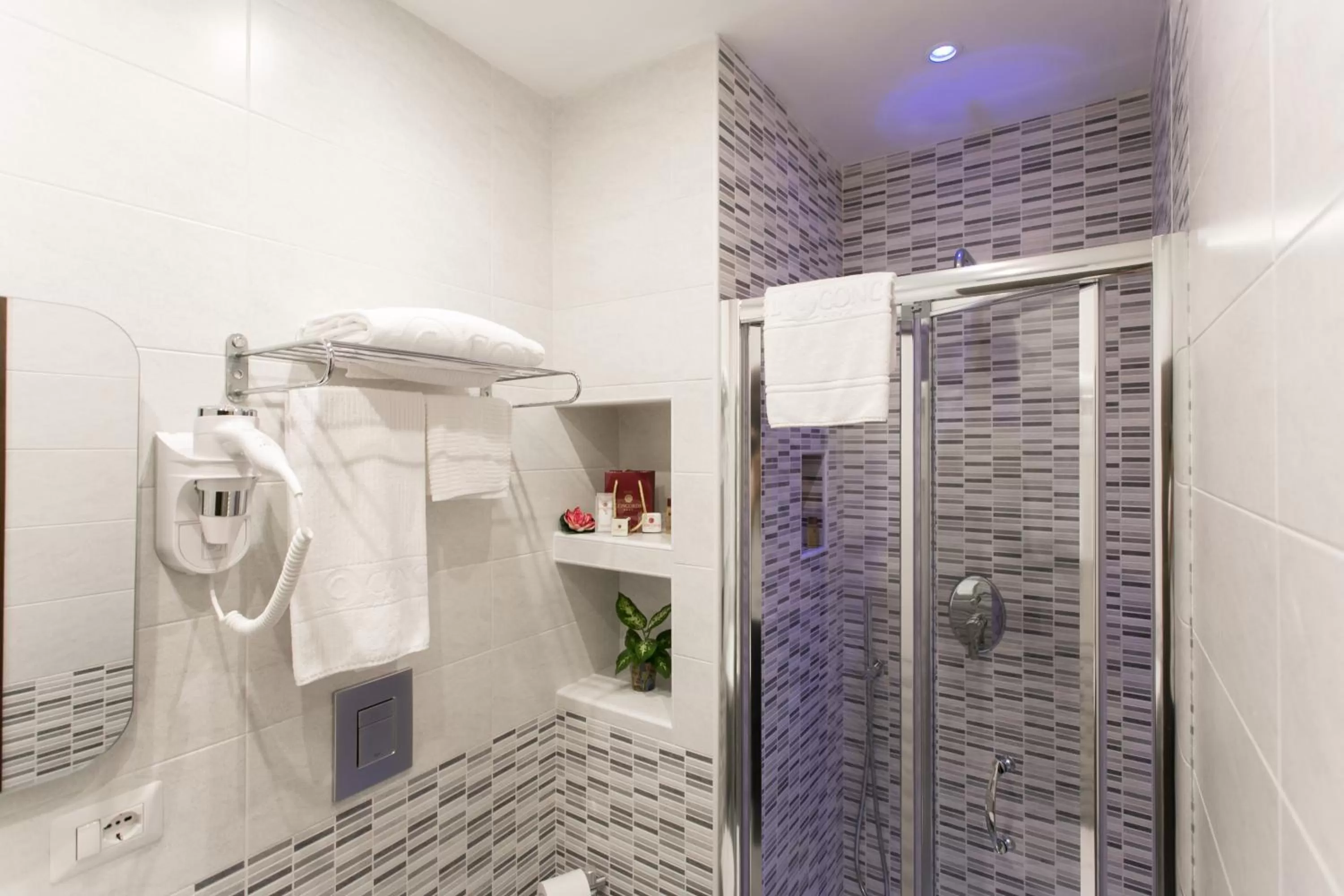 Shower in Hotel Concorde Fiera
