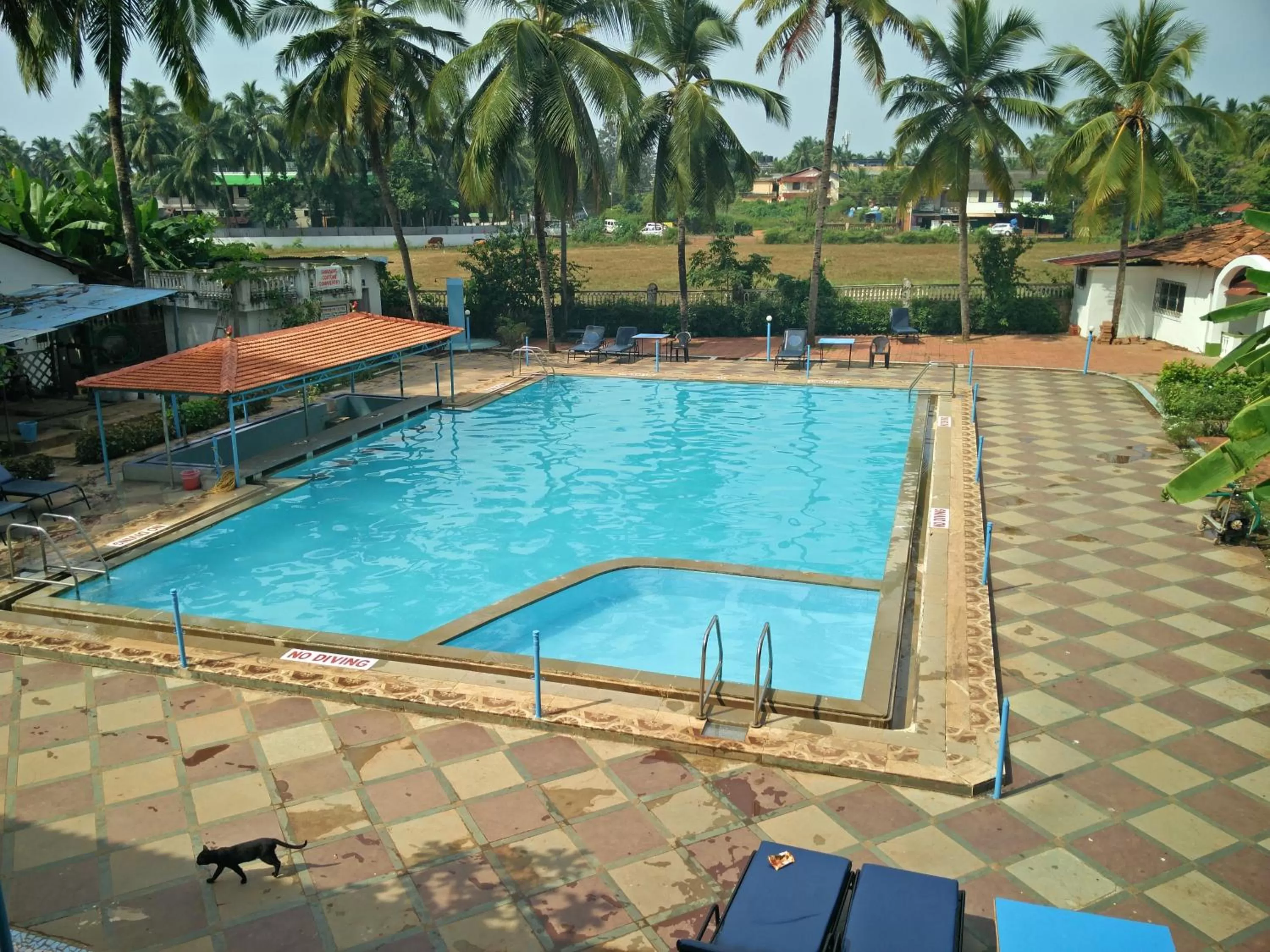 Swimming Pool in Williams Beach Retreat