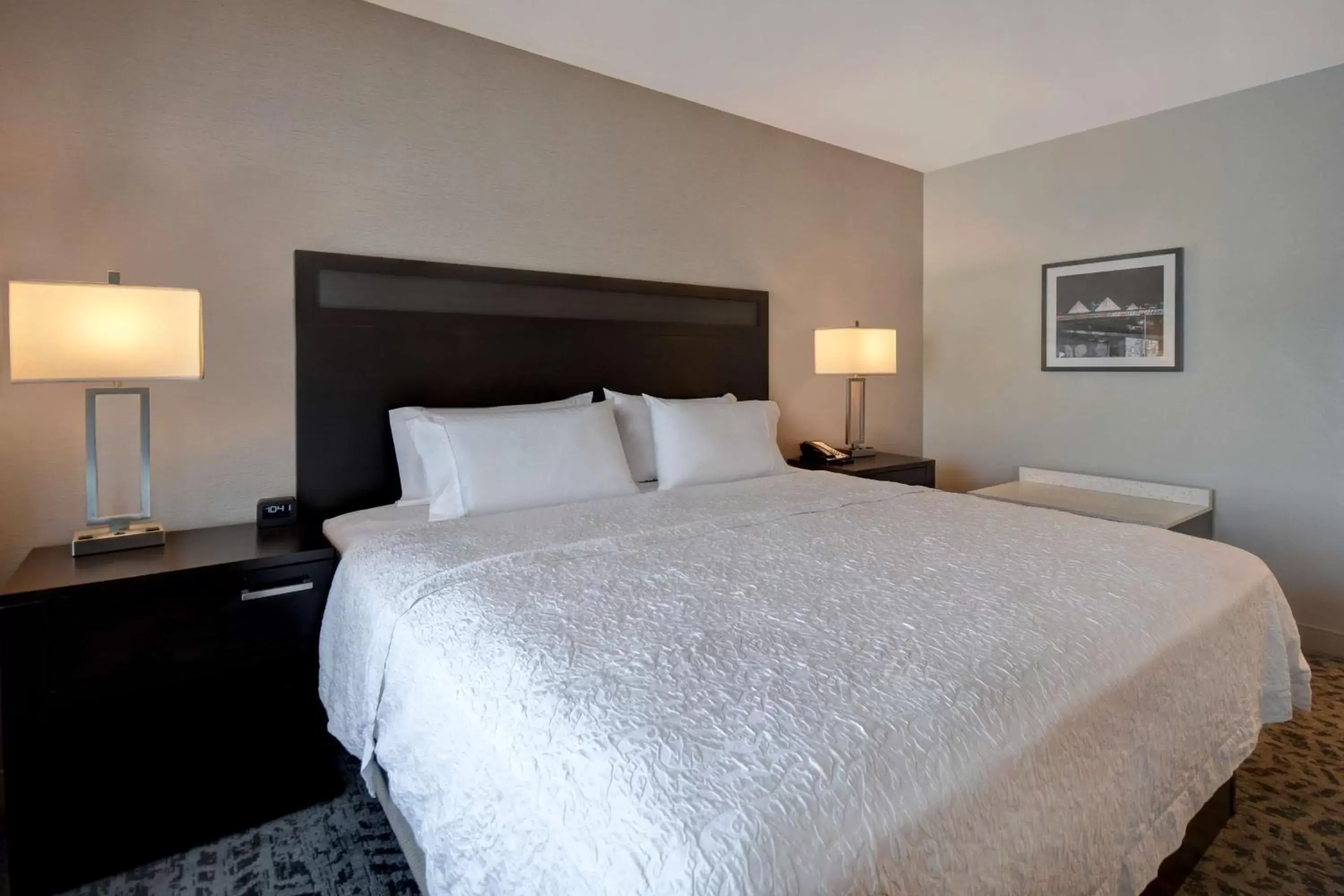 King Studio Suite with Sofa Bed - Hearing Access/Non-Smoking in Hampton Inn & Suites Columbia South Fort Meade Area King Studio Suite with Sofa Bed - Hearing Access/Non-Smoking in Hampton Inn & Suites Columbia South Fort Meade Area