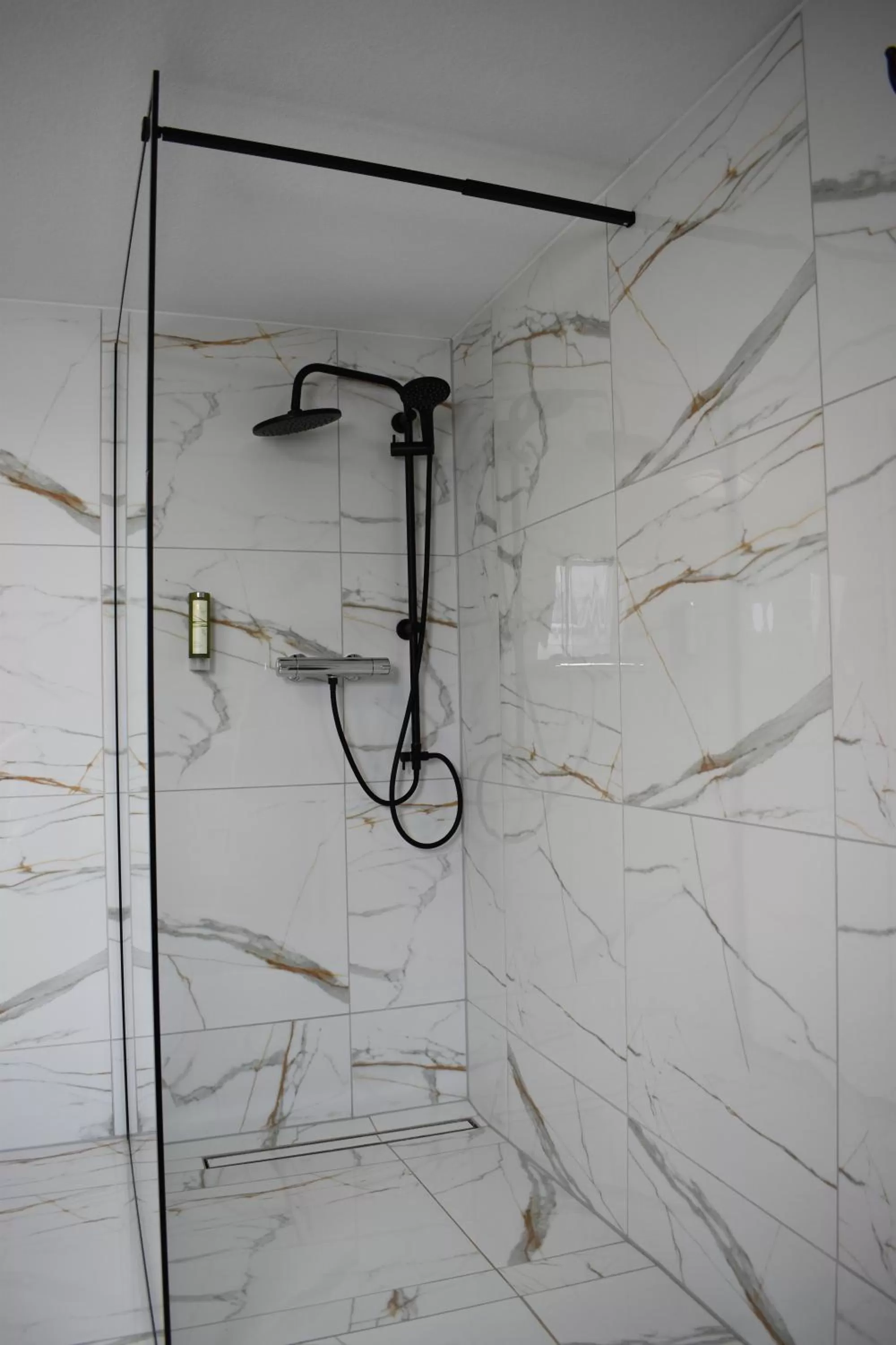 Black Forest Hotel Kappel-Grafenhausen