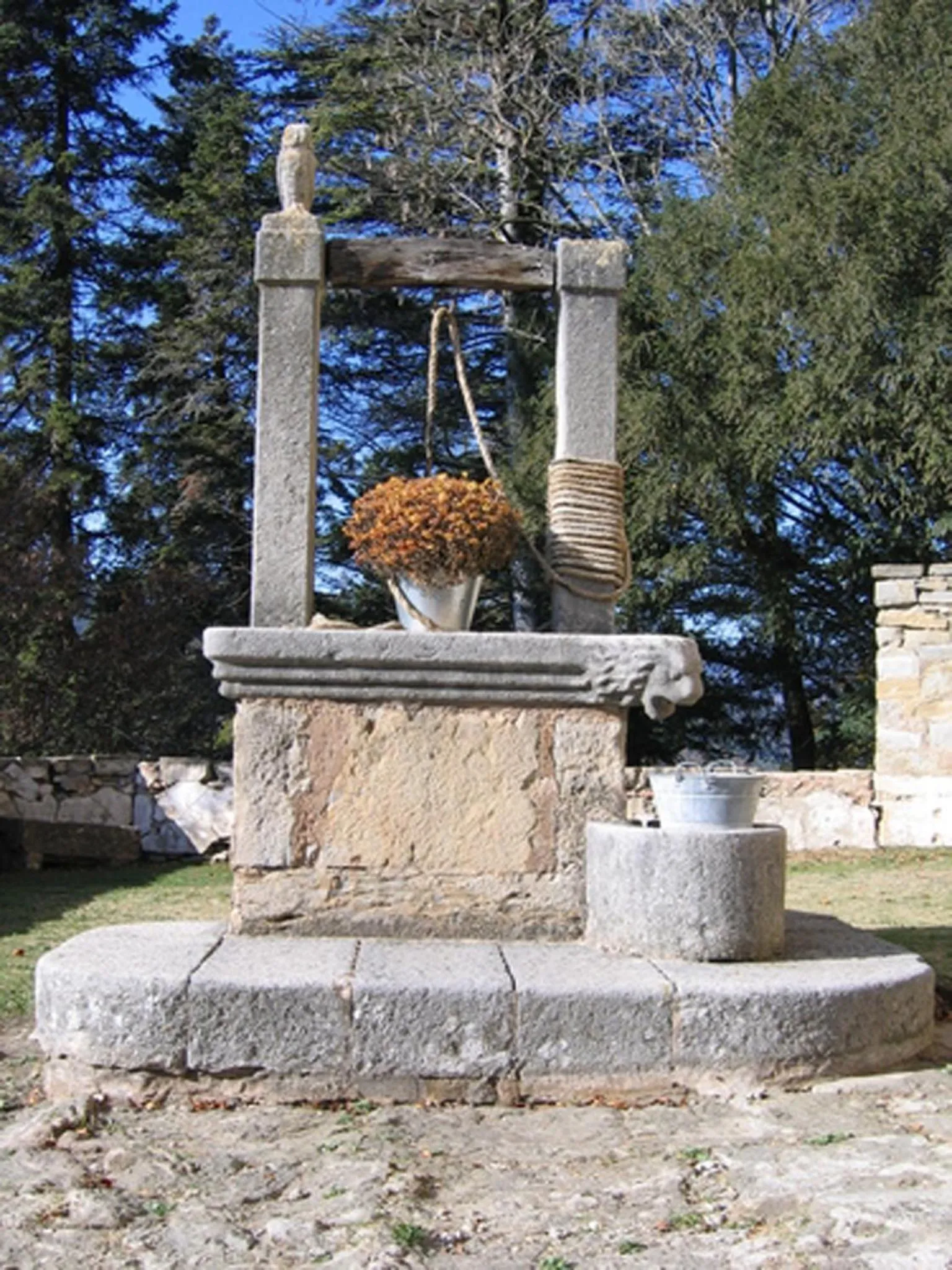 Area and facilities in Hotel Sant Quirze De Besora