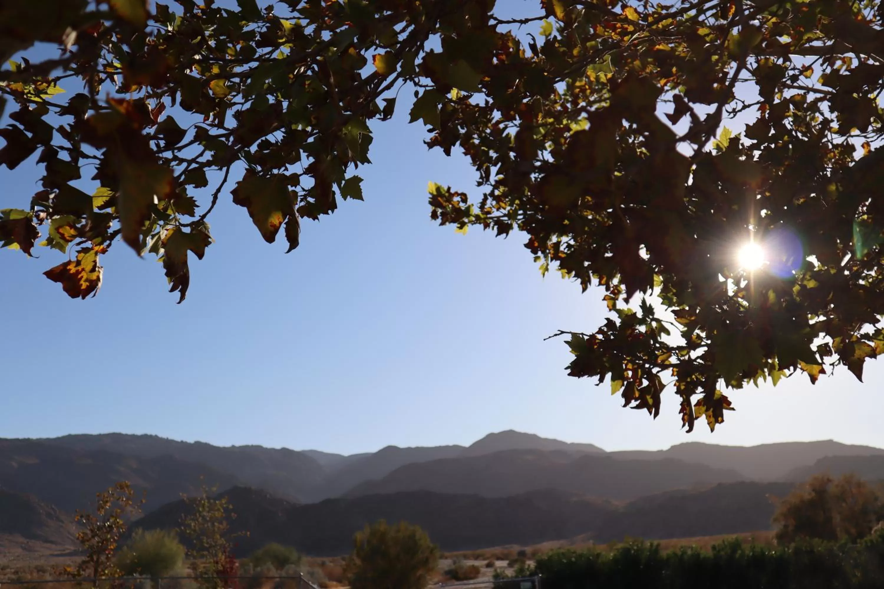 Natural landscape in Oasis Inn & Suites 29 Palms Hotel Joshua Tree National Park