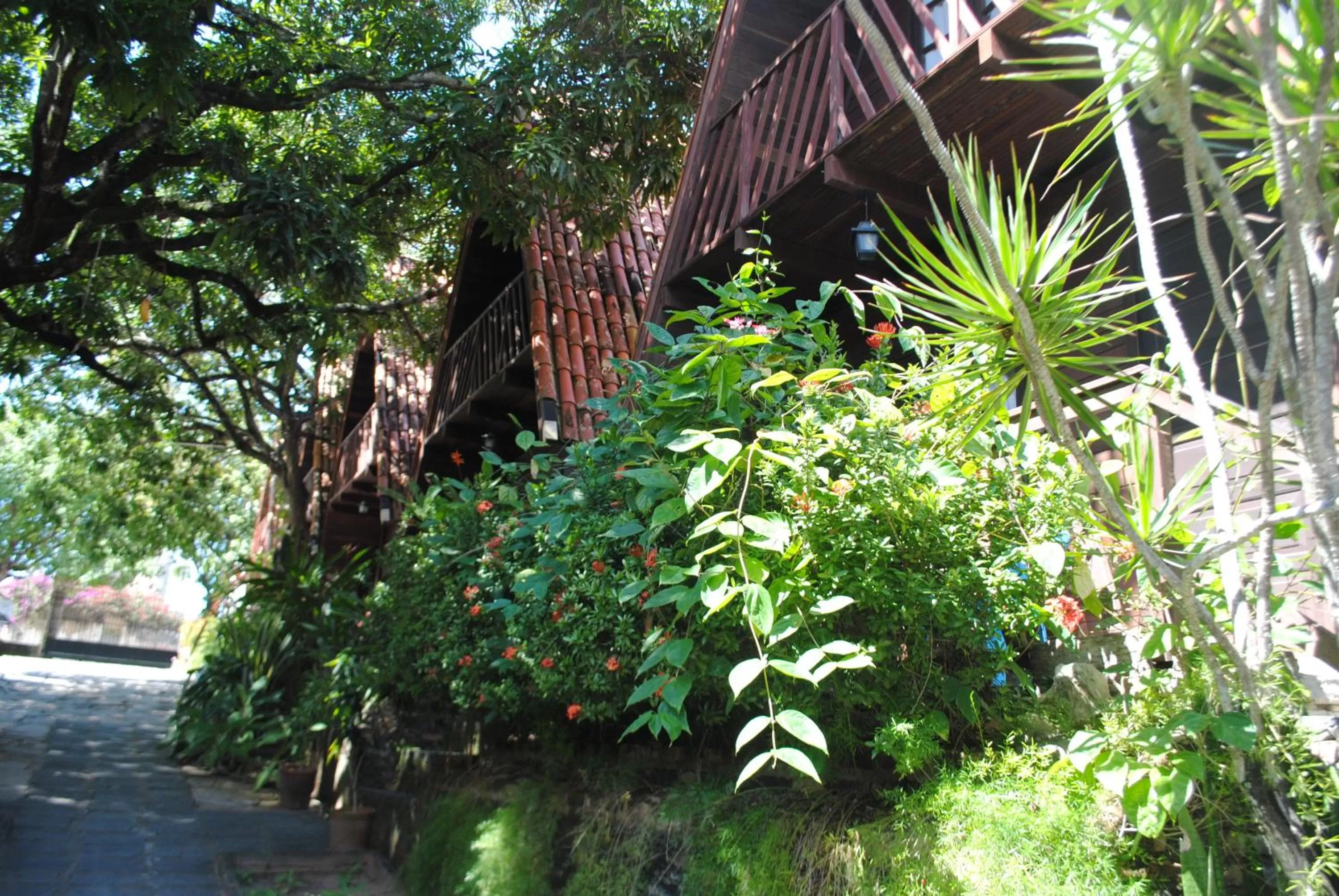 Natural landscape in Chalet Suisse
