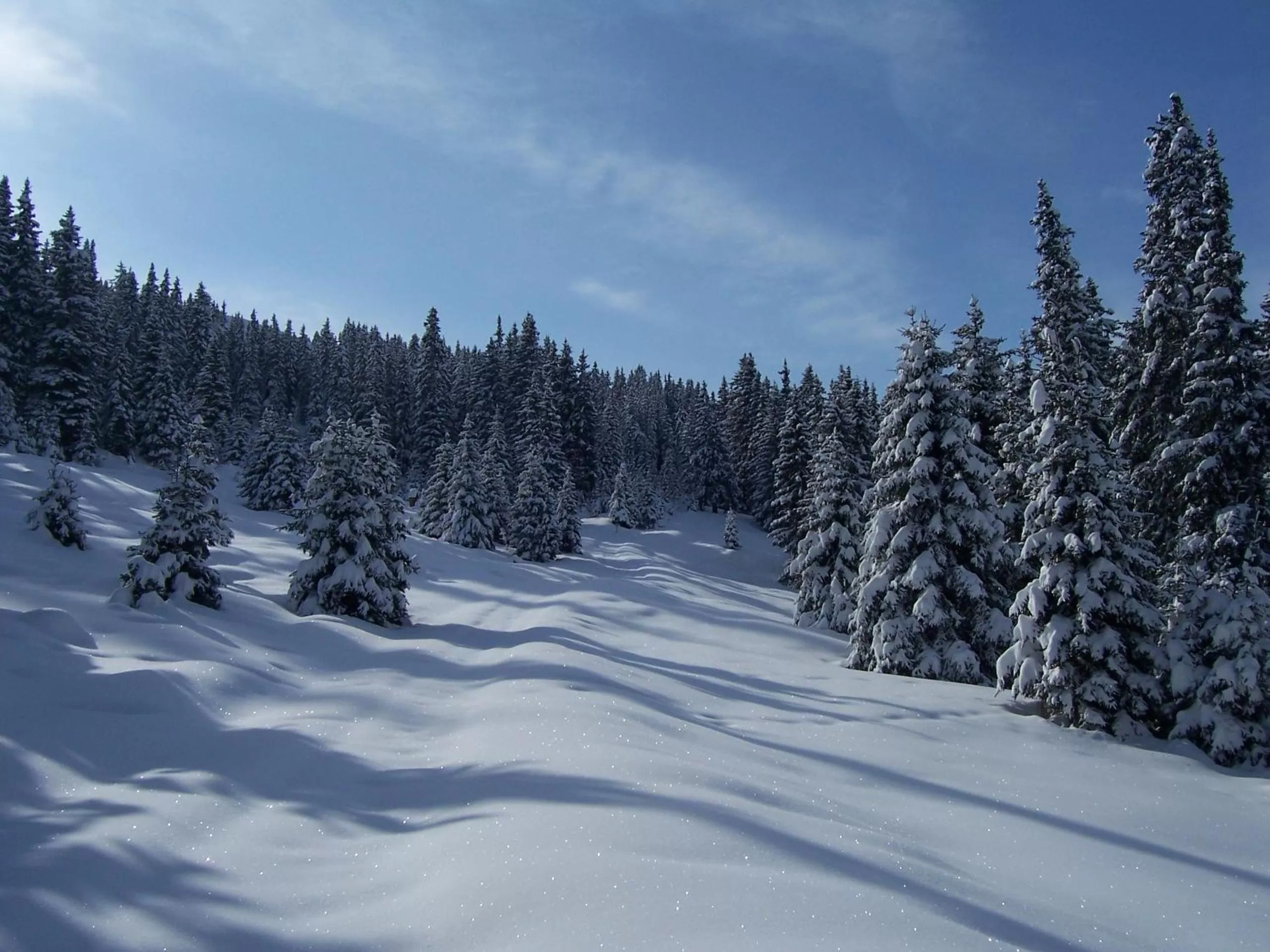 Winter in Sporthotel Kalcherhof