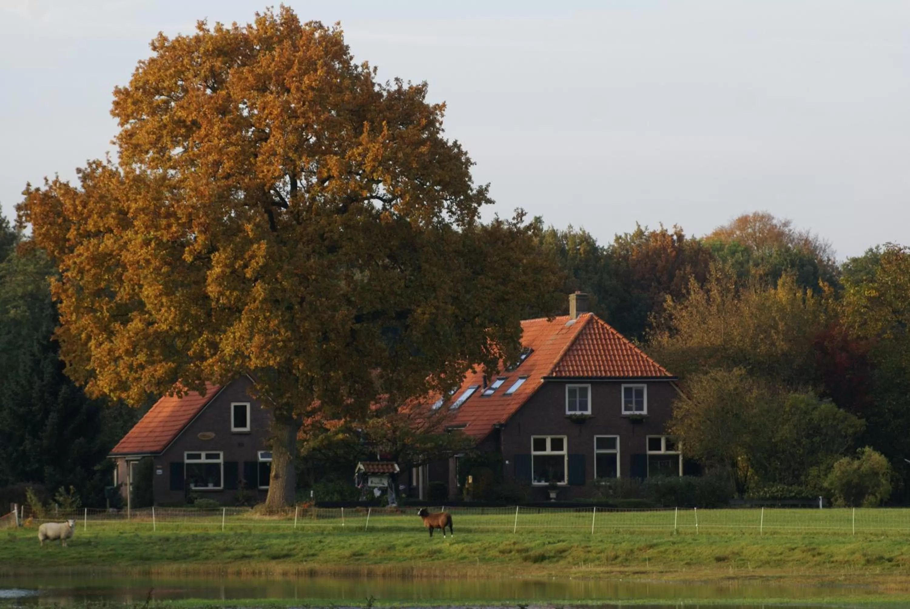 Autumn in B&B Verwoldsehof 'Op de deel'