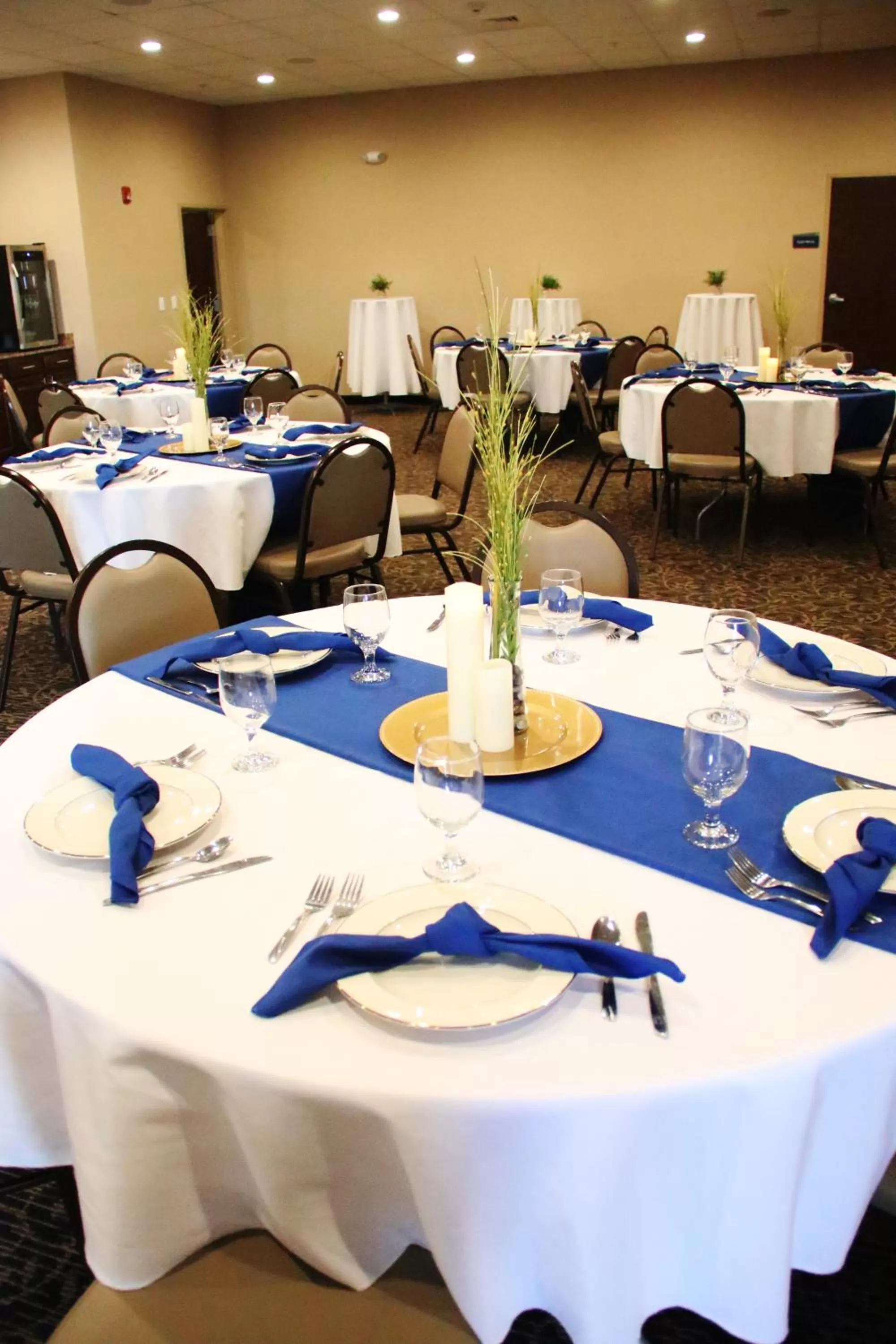 Banquet/Function facilities in Cobblestone Inn & Suites Fort Madison