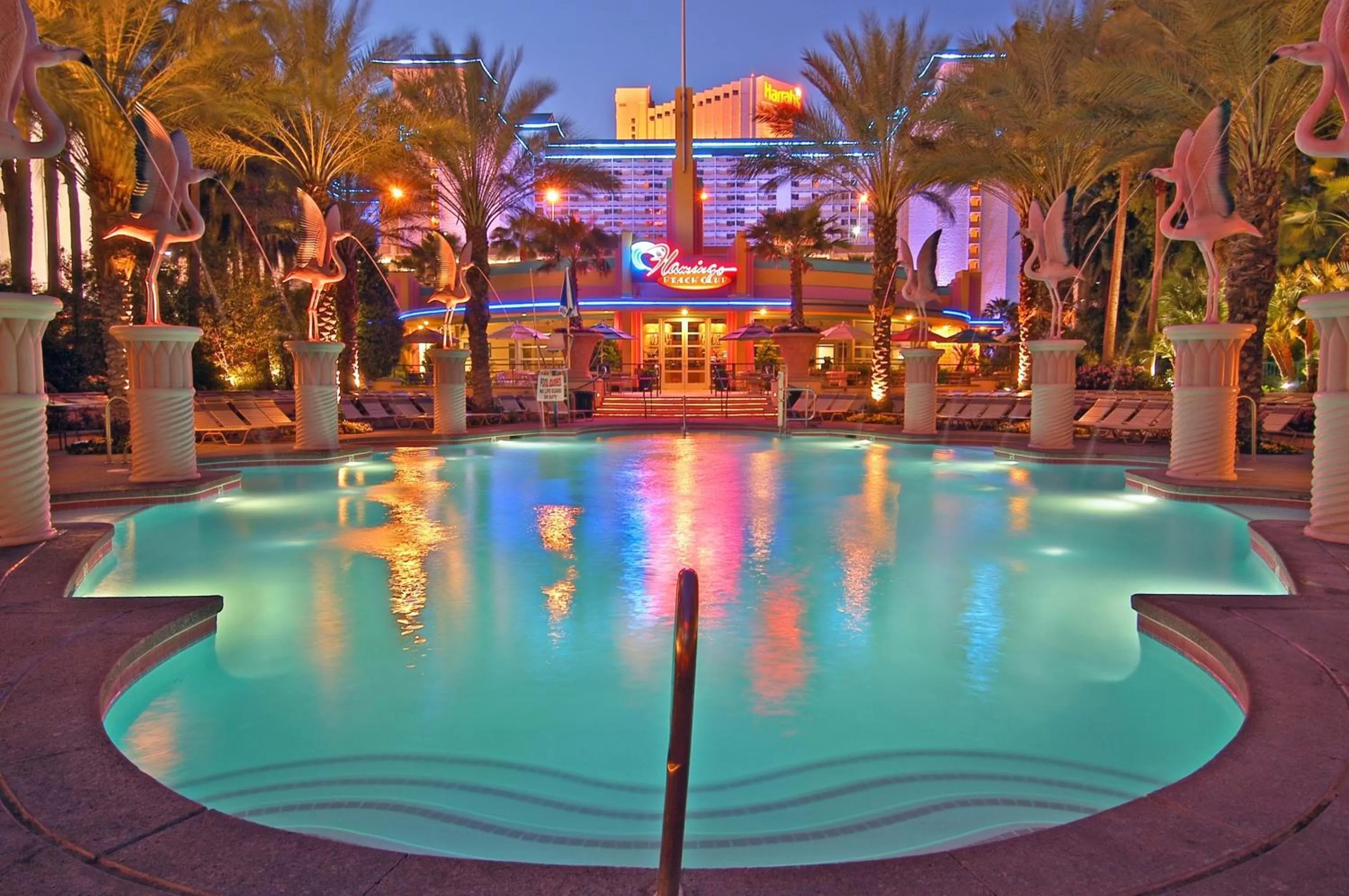 Swimming pool in Flamingo Las Vegas Hotel & Casino