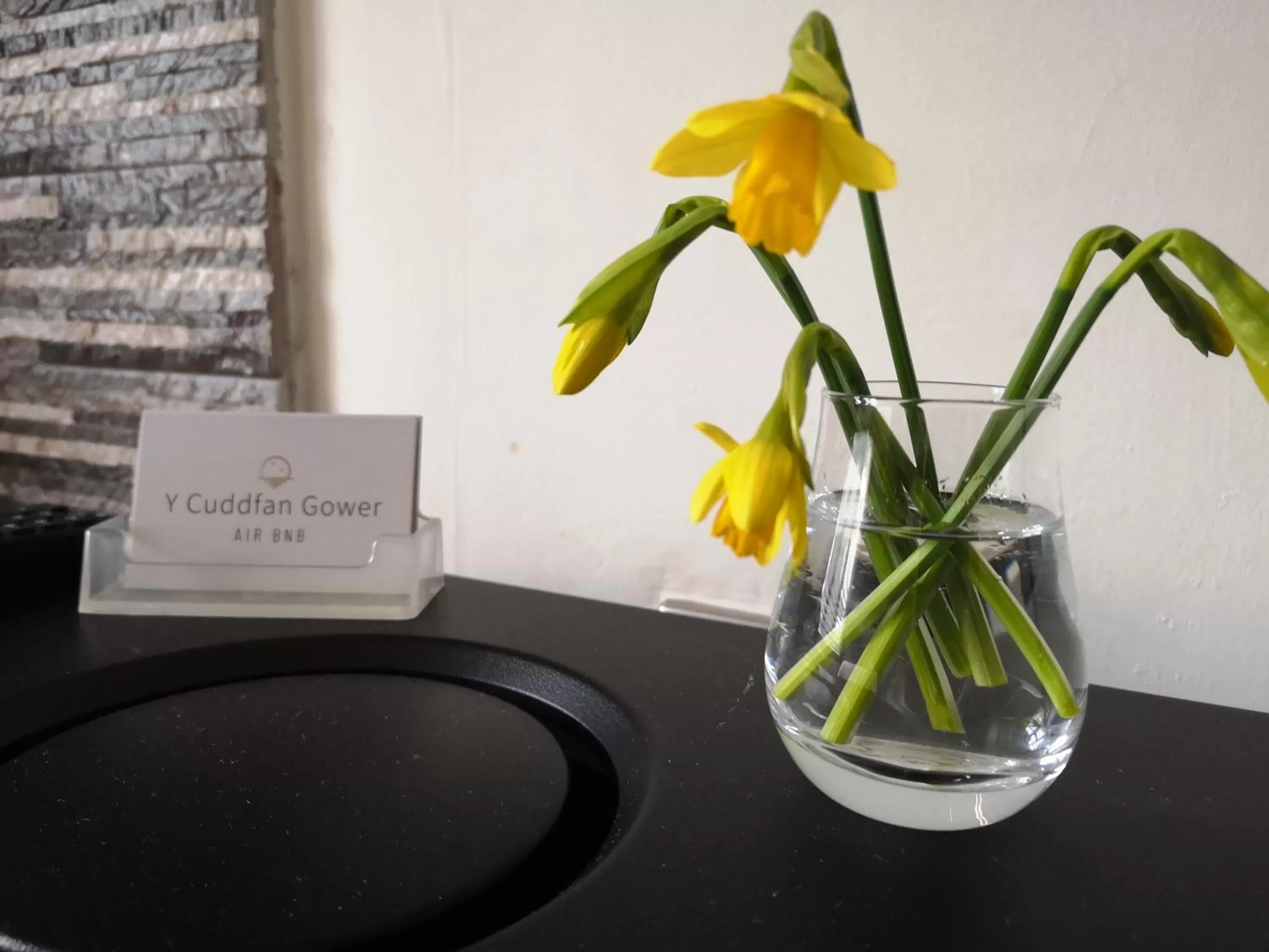 Spring in Y Cuddfan Gower