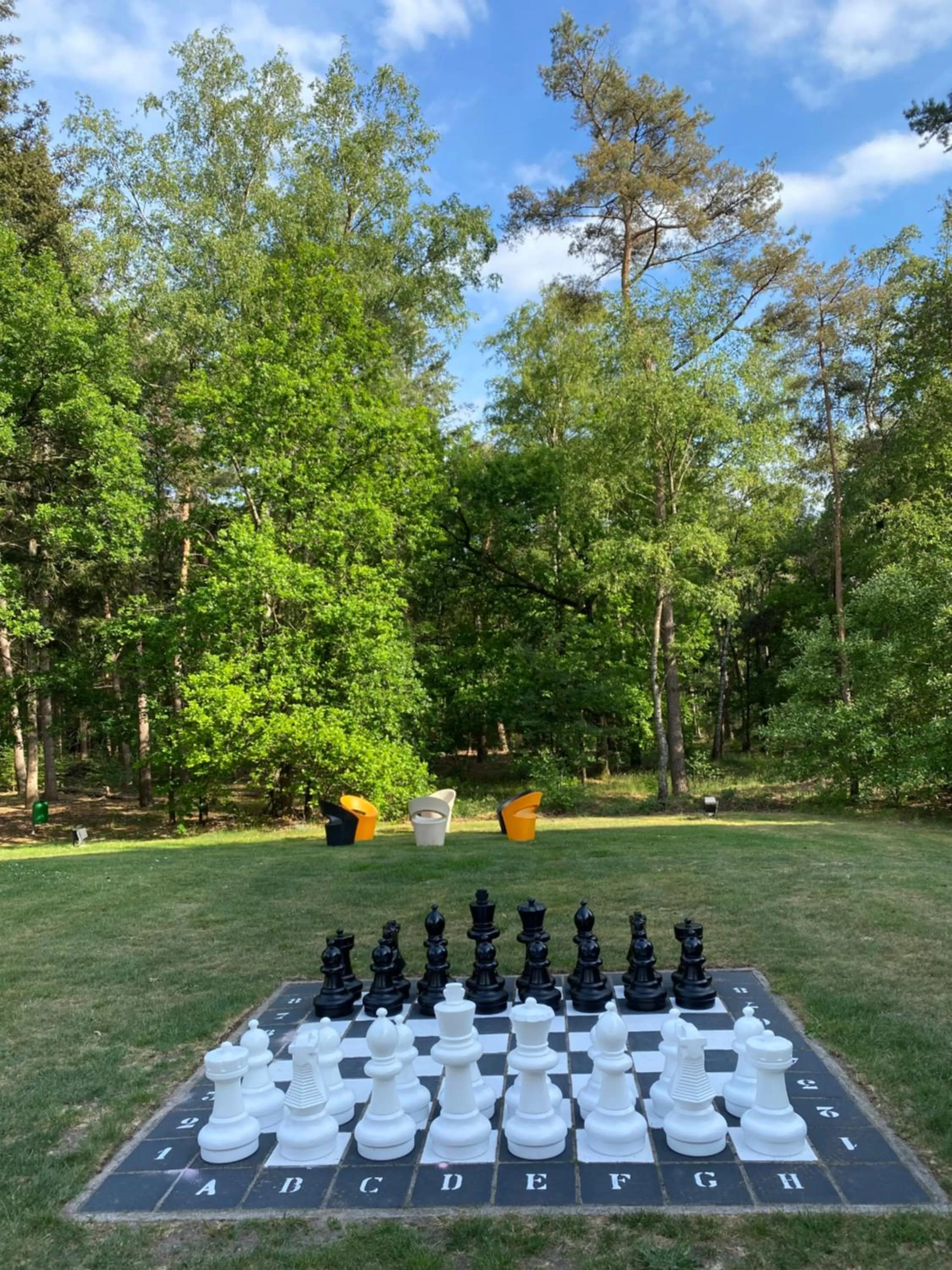 Garden in Hotel Kapellerput Heeze-Eindhoven