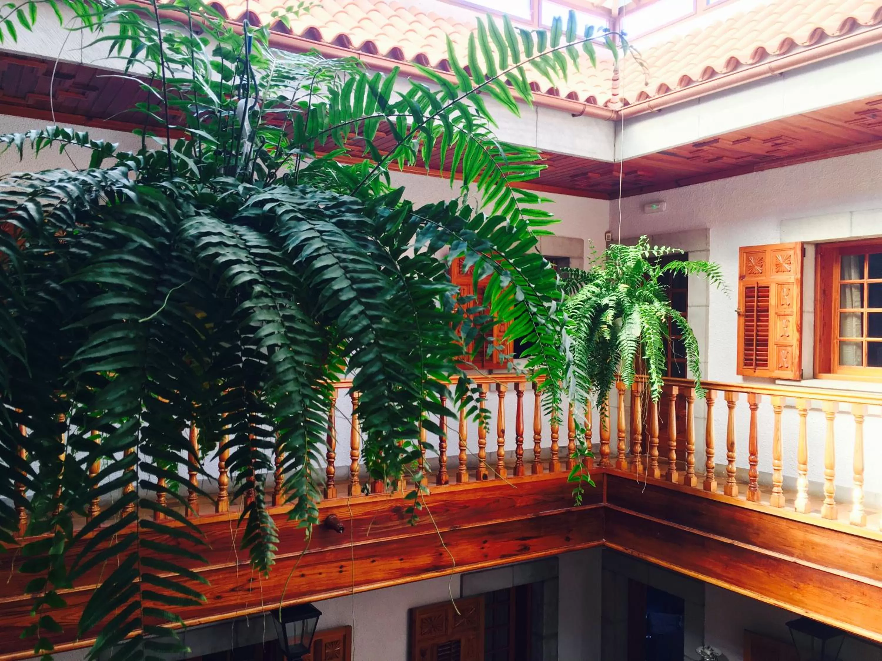 Patio in Il Sogno di Gio della Laguna