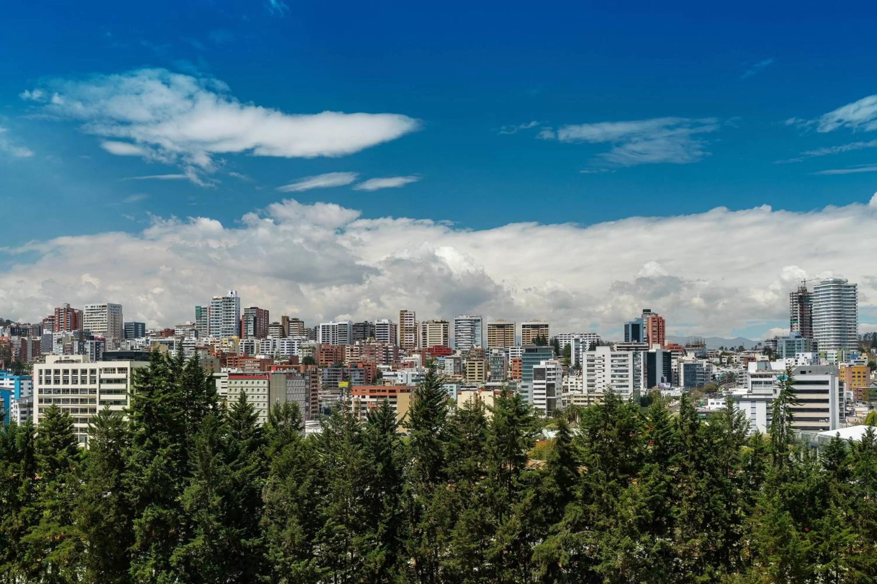 One-Bedroom King Suite with Executive in JW Marriott Quito