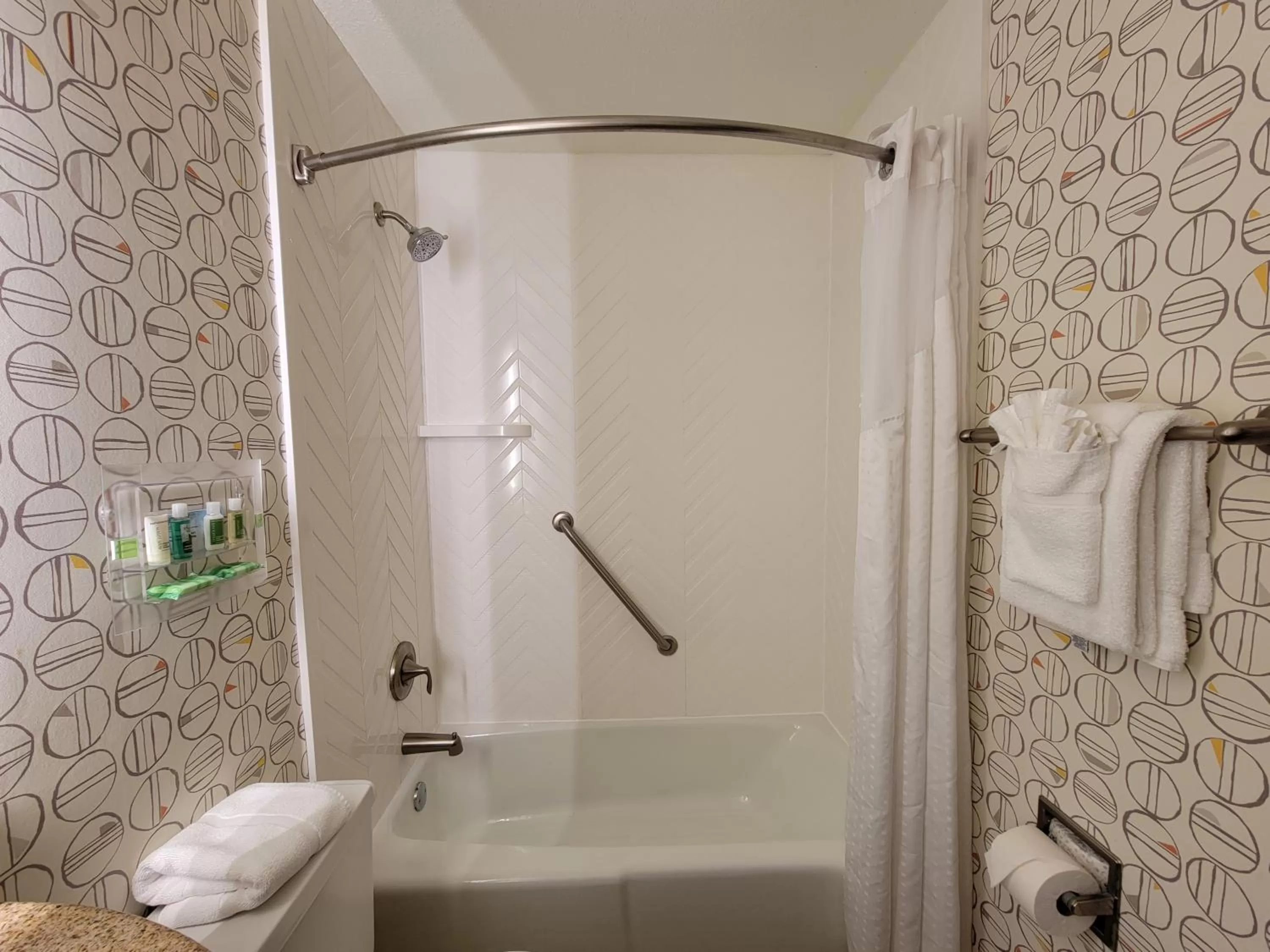 Bathroom in Holiday Inn Asheville East-Blue Ridge Pkwy by IHG