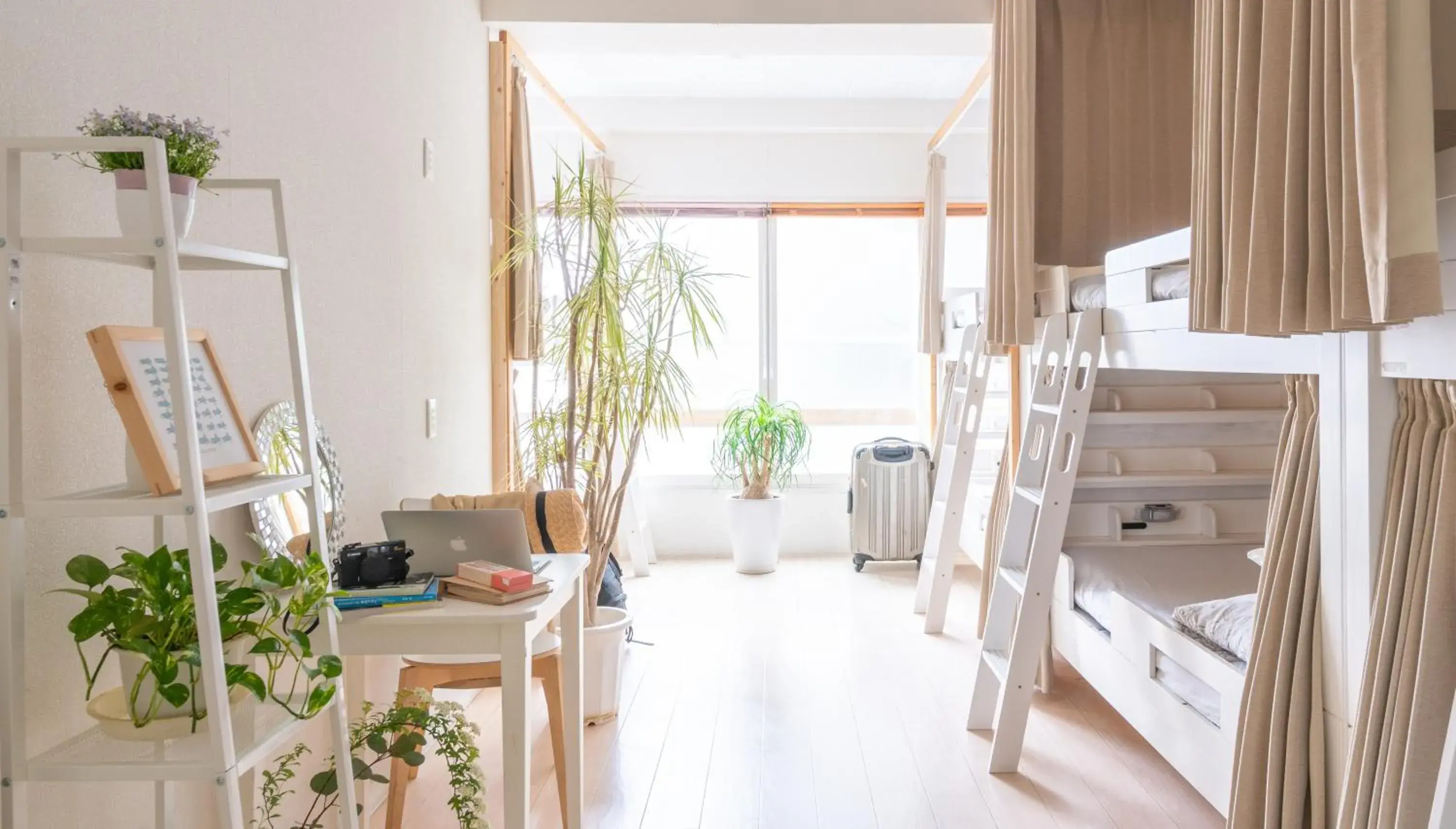 8-Bed Female Dormitory Room with Shared Bathroom in Casa Blanca Guesthouse 8-Bed Female Dormitory Room with Shared Bathroom in Casa Blanca Guesthouse