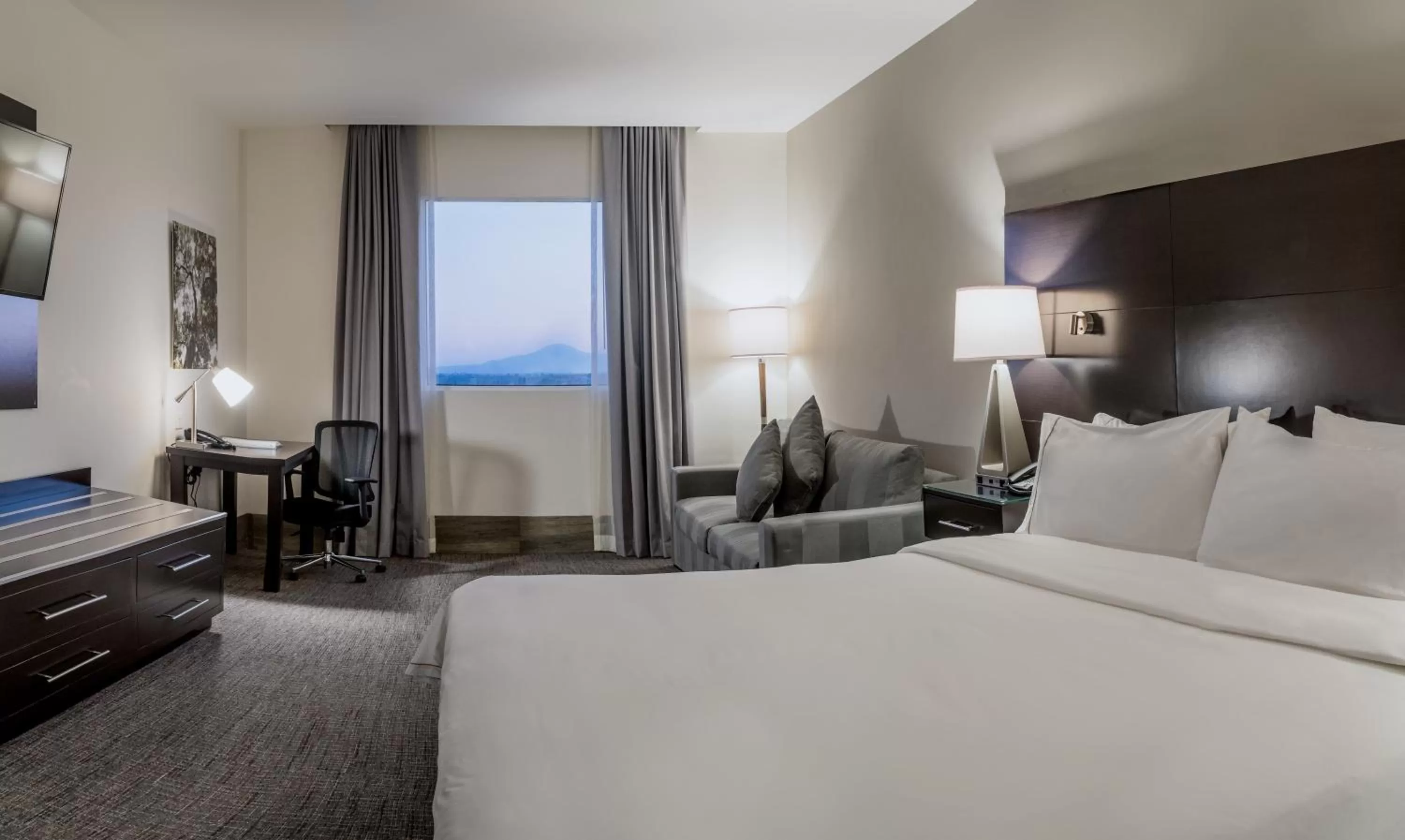 Photo of the whole room, Bed in Holiday Inn Express & Suites Silao Aeropuerto Terminal by IHG