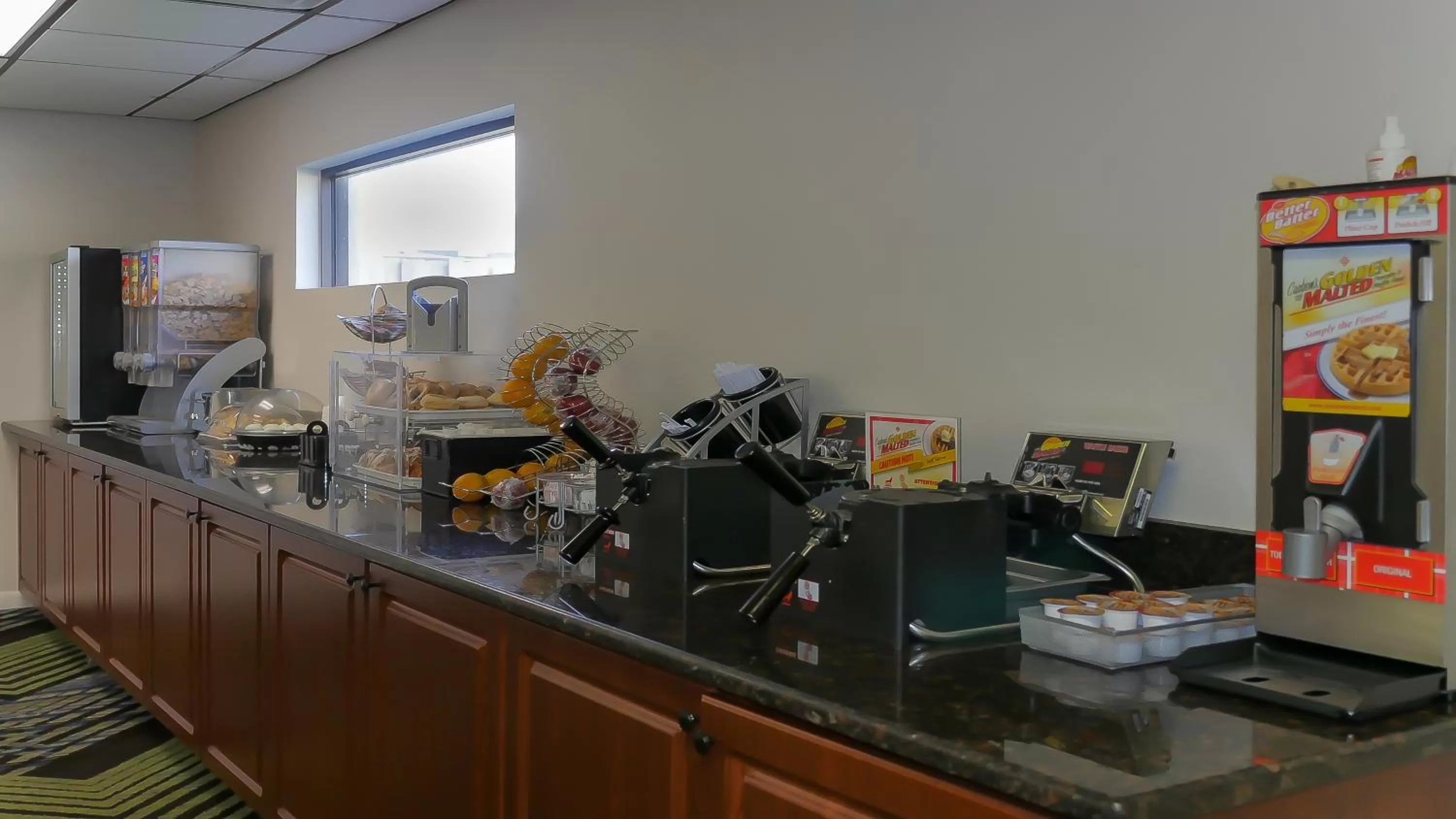 Area and facilities in Hotel South Tampa & Suites