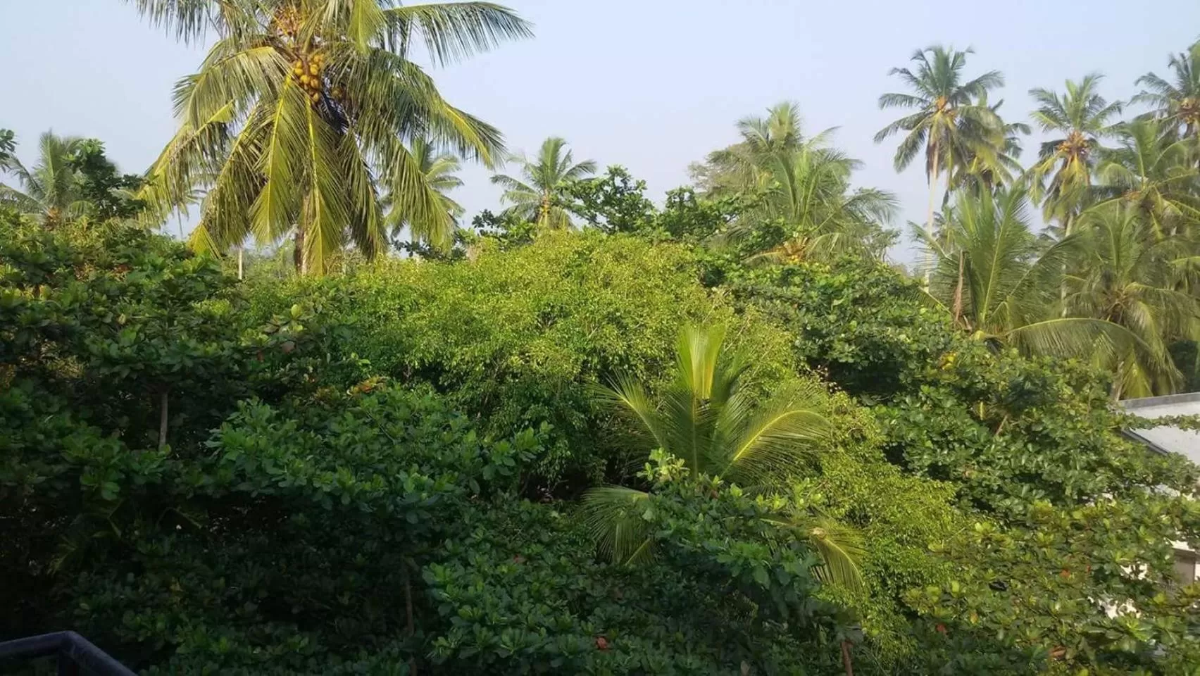 Landmark view in Green Almond Hotel