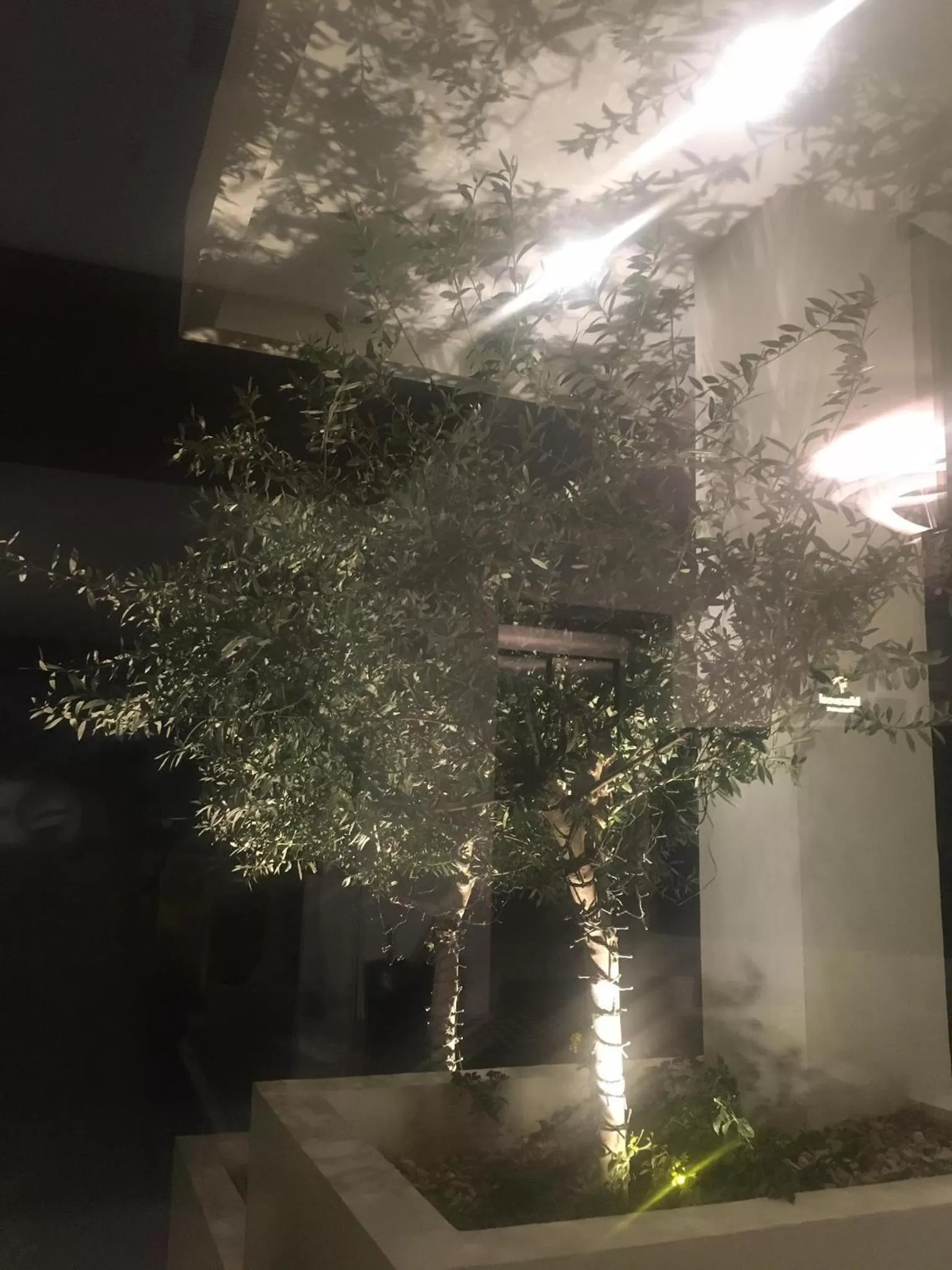 Other in Glyfada Riviera Hotel