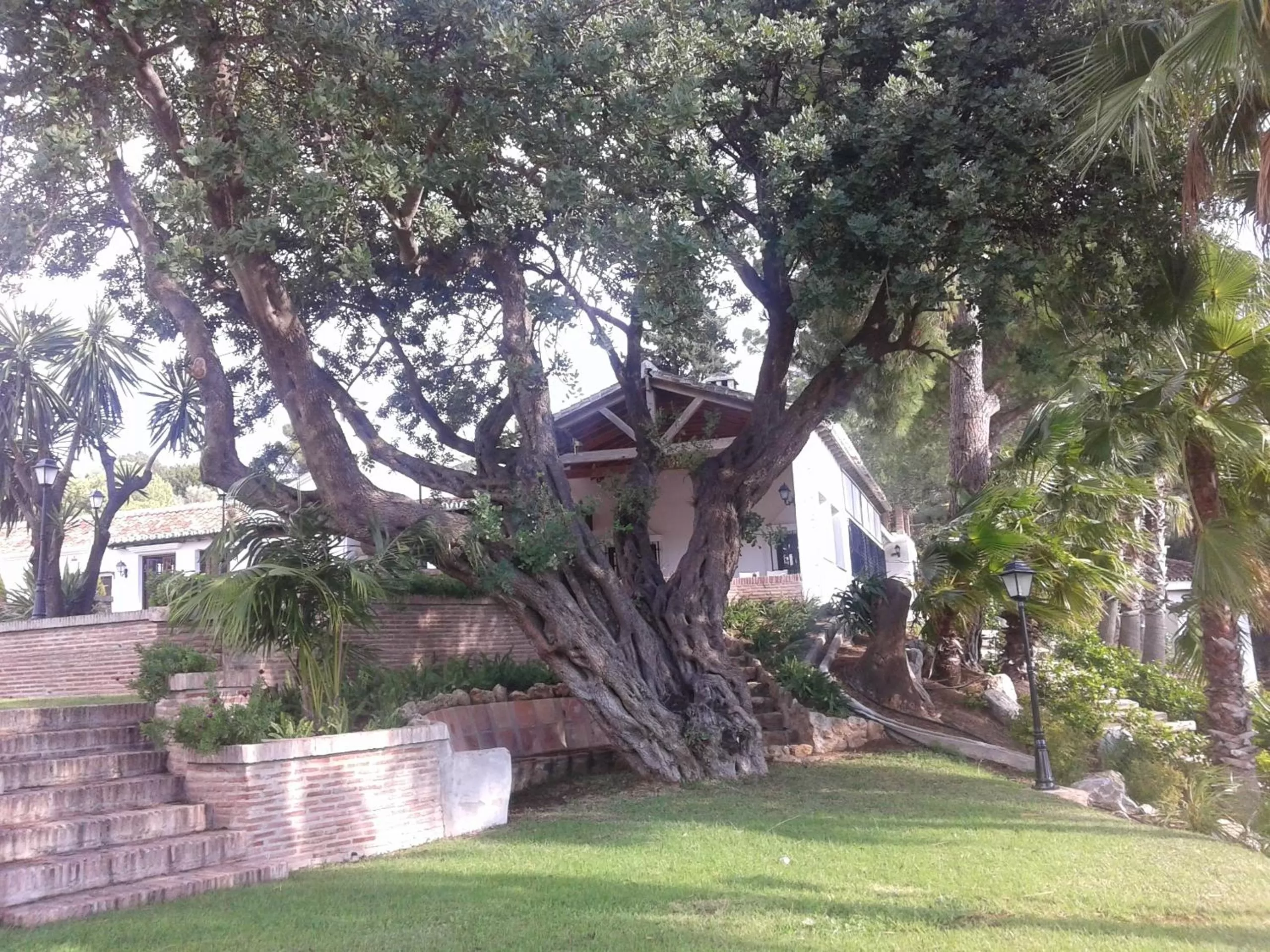 Garden, Property Building in Alhaurin Golf Hotel
