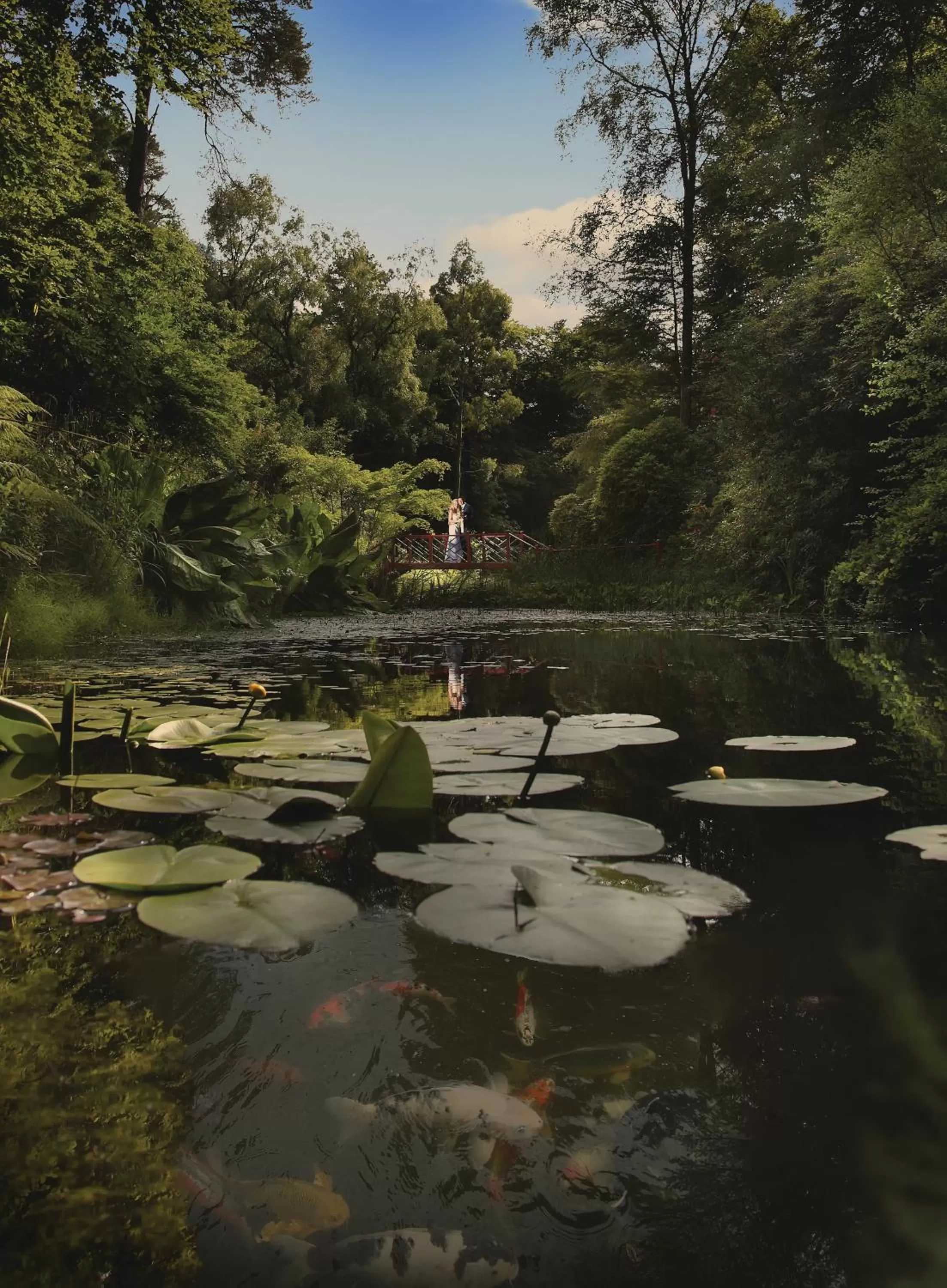 Garden in Portmeirion Village & Castell Deudraeth